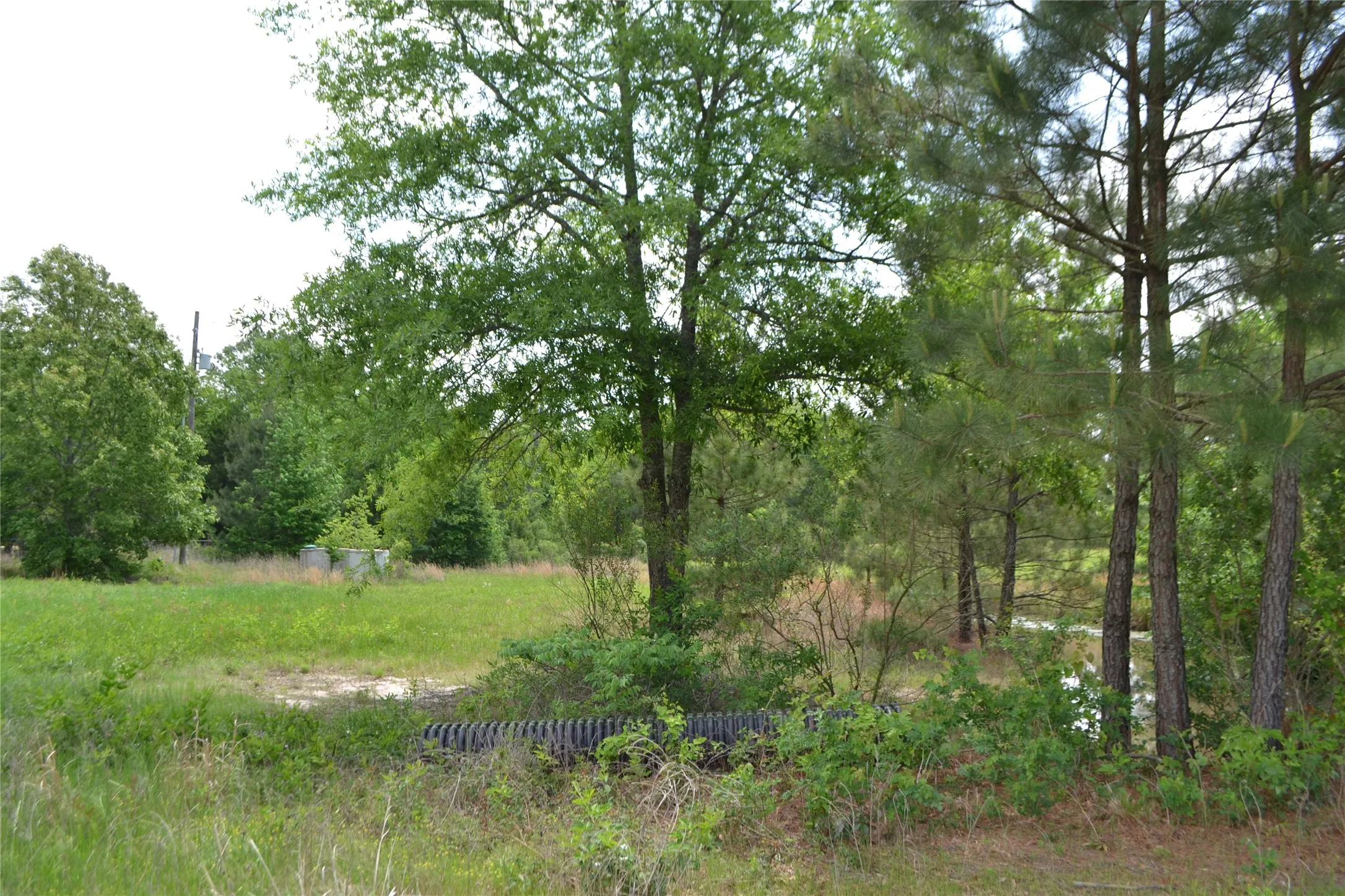 Unimproved Land For Sale in Wood County , TBD S HWY 69, Alba, Texas 75410, 0, 0, Garage spaces, 0 Sqft, built in 0, Price $159,500, mls#21351645, Real Estate Agent in Alba, Homes For Sale in Wood county, Homes For Sale in Alba, Realtor in Alba Texas, Real Estate Brokerage Independent Realty Texas, Luminita Cordes Realtor