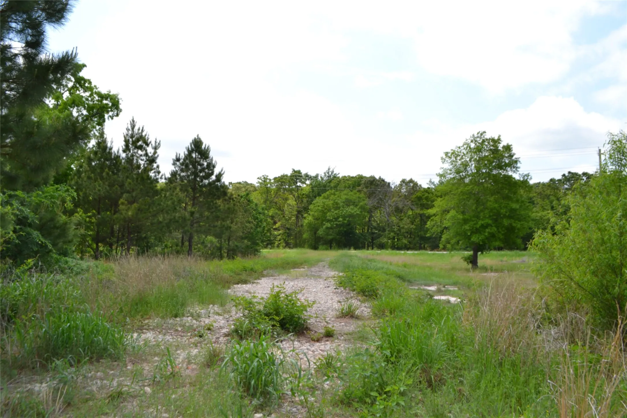 Unimproved Land For Sale in Wood County , TBD S HWY 69, Alba, Texas 75410, 0, 0, Garage spaces, 0 Sqft, built in 0, Price $159,500, mls#21351645, Real Estate Agent in Alba, Homes For Sale in Wood county, Homes For Sale in Alba, Realtor in Alba Texas, Real Estate Brokerage Independent Realty Texas, Luminita Cordes Realtor