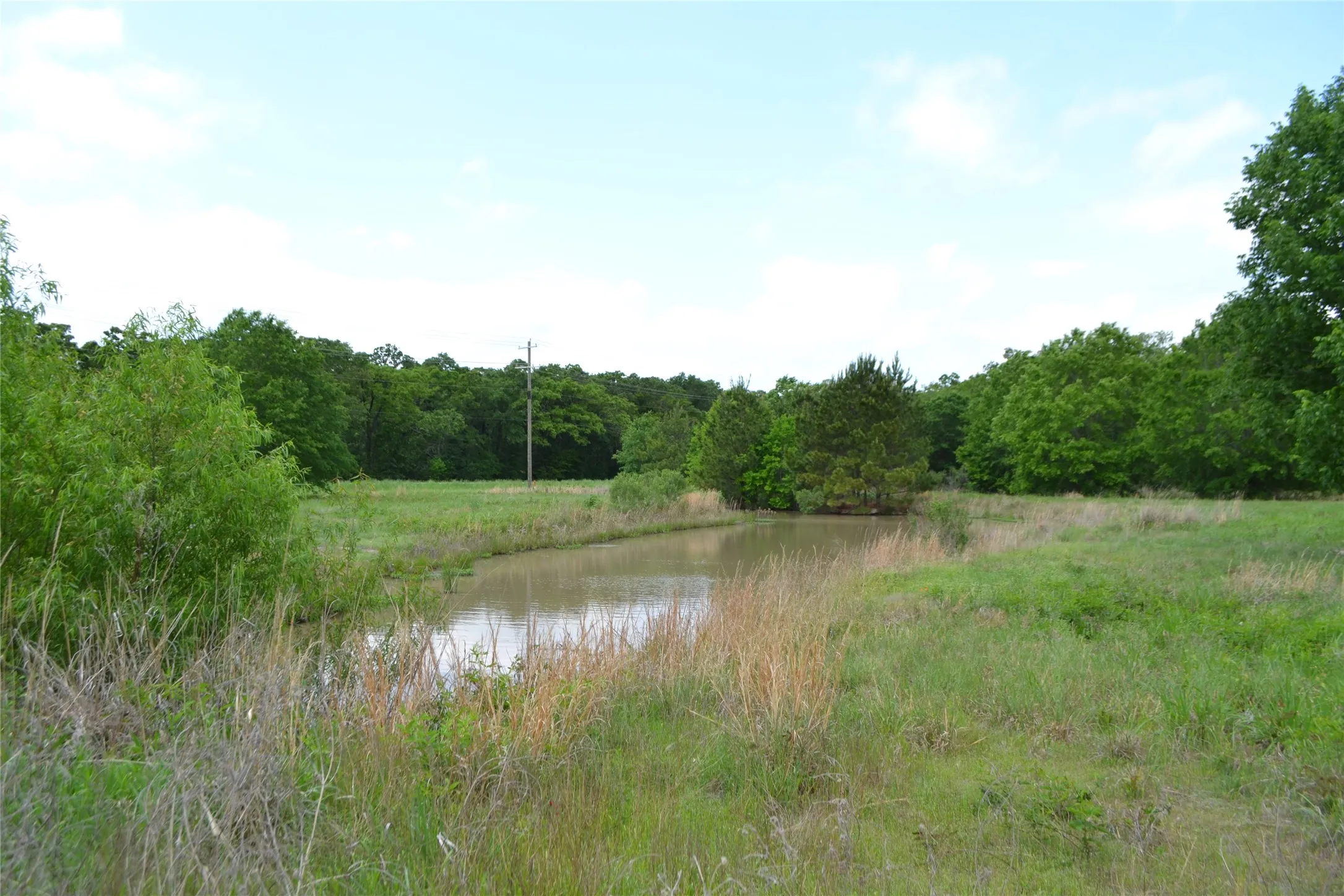 Unimproved Land For Sale in Wood County , TBD S HWY 69, Alba, Texas 75410, 0, 0, Garage spaces, 0 Sqft, built in 0, Price $159,500, mls#21351645, Real Estate Agent in Alba, Homes For Sale in Wood county, Homes For Sale in Alba, Realtor in Alba Texas, Real Estate Brokerage Independent Realty Texas, Luminita Cordes Realtor