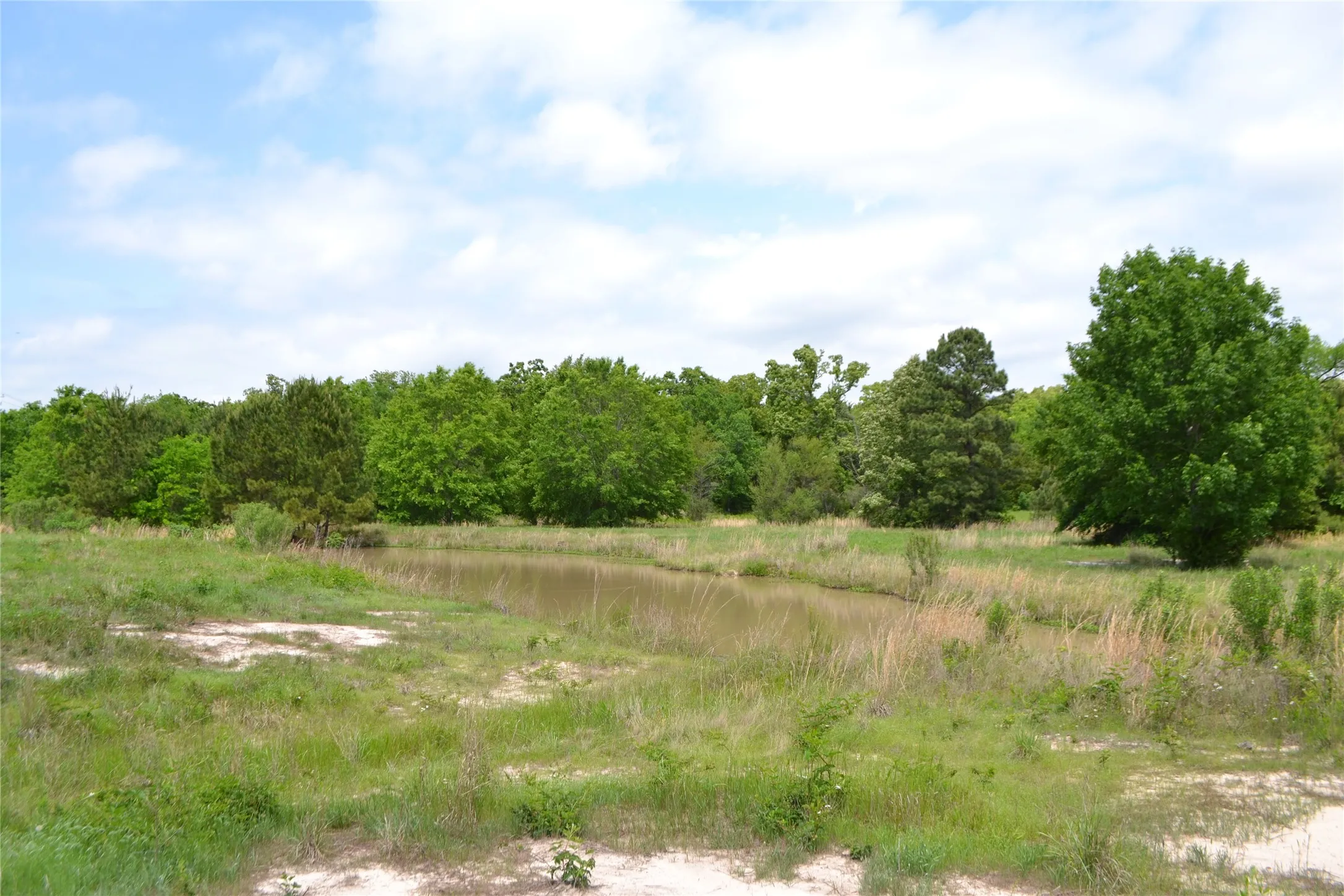 Unimproved Land For Sale in Wood County , TBD S HWY 69, Alba, Texas 75410, 0, 0, Garage spaces, 0 Sqft, built in 0, Price $159,500, mls#21351645, Real Estate Agent in Alba, Homes For Sale in Wood county, Homes For Sale in Alba, Realtor in Alba Texas, Real Estate Brokerage Independent Realty Texas, Luminita Cordes Realtor