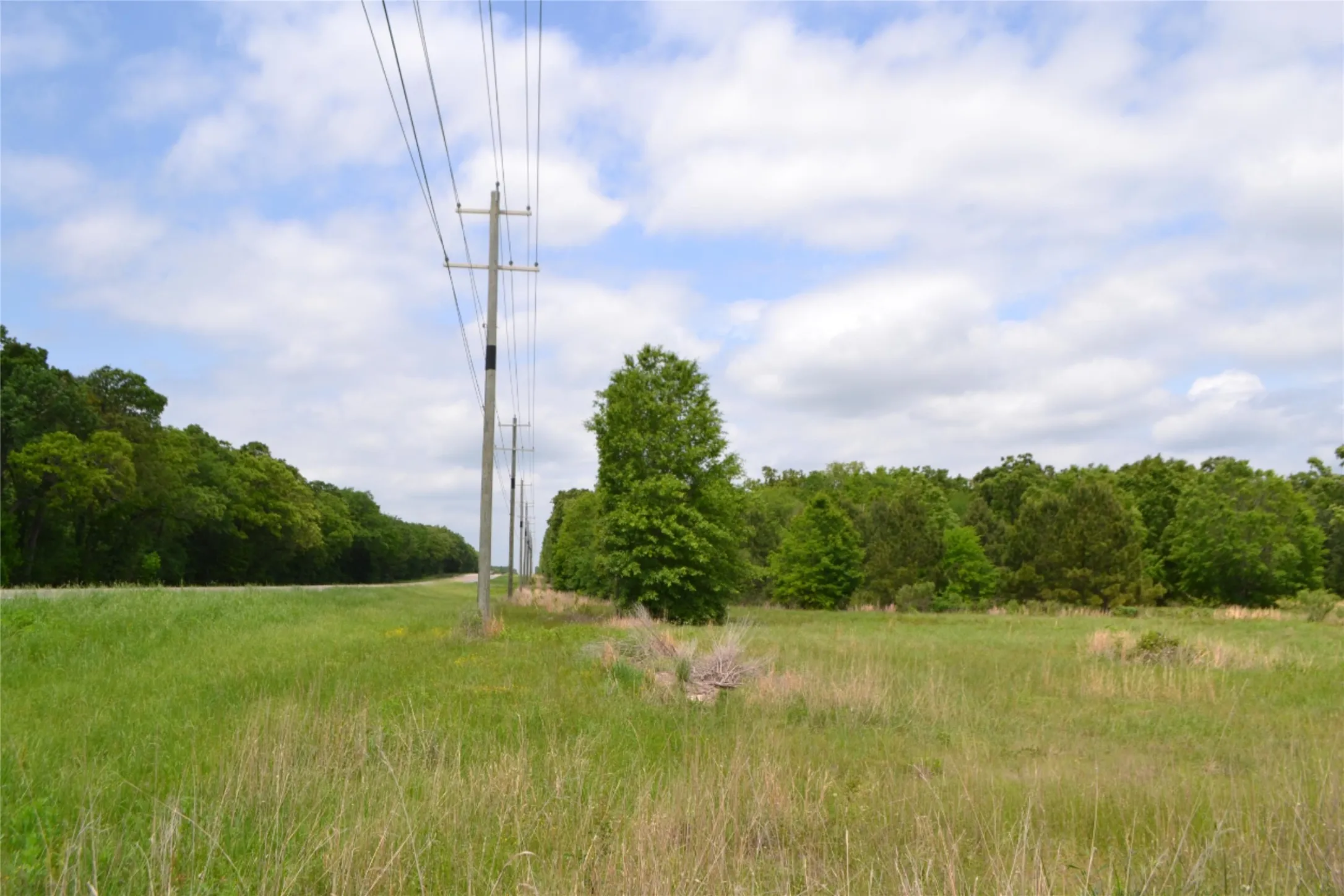 Unimproved Land For Sale in Wood County , TBD S HWY 69, Alba, Texas 75410, 0, 0, Garage spaces, 0 Sqft, built in 0, Price $159,500, mls#21351645, Real Estate Agent in Alba, Homes For Sale in Wood county, Homes For Sale in Alba, Realtor in Alba Texas, Real Estate Brokerage Independent Realty Texas, Luminita Cordes Realtor