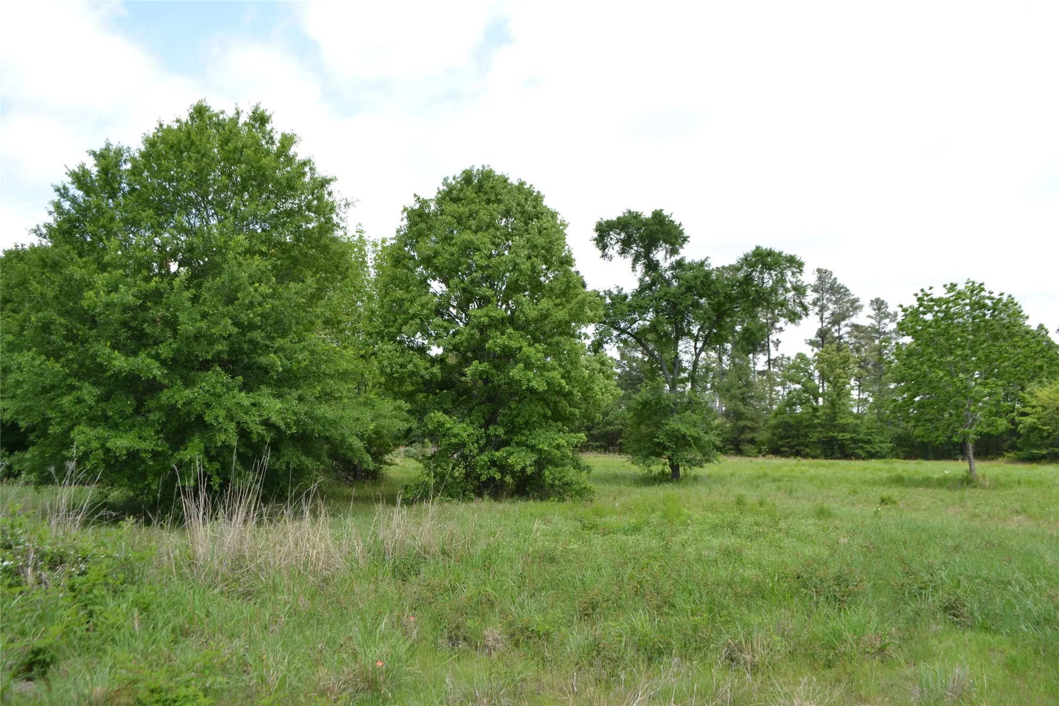 Unimproved Land For Sale in Wood County , TBD S HWY 69, Alba, Texas 75410, 0, 0, Garage spaces, 0 Sqft, built in 0, Price $159,500, mls#21351645, Real Estate Agent in Alba, Homes For Sale in Wood county, Homes For Sale in Alba, Realtor in Alba Texas, Real Estate Brokerage Independent Realty Texas, Luminita Cordes Realtor