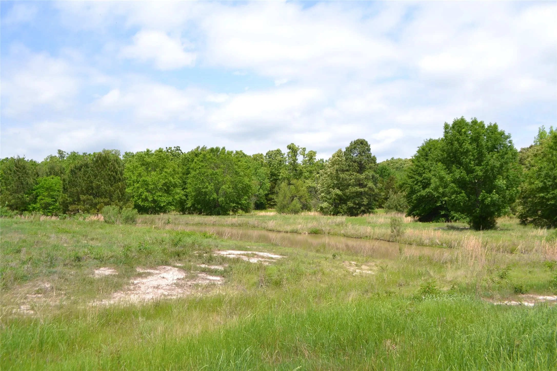 Unimproved Land For Sale in Wood County , TBD S HWY 69, Alba, Texas 75410, 0, 0, Garage spaces, 0 Sqft, built in 0, Price $159,500, mls#21351645, Real Estate Agent in Alba, Homes For Sale in Wood county, Homes For Sale in Alba, Realtor in Alba Texas, Real Estate Brokerage Independent Realty Texas, Luminita Cordes Realtor