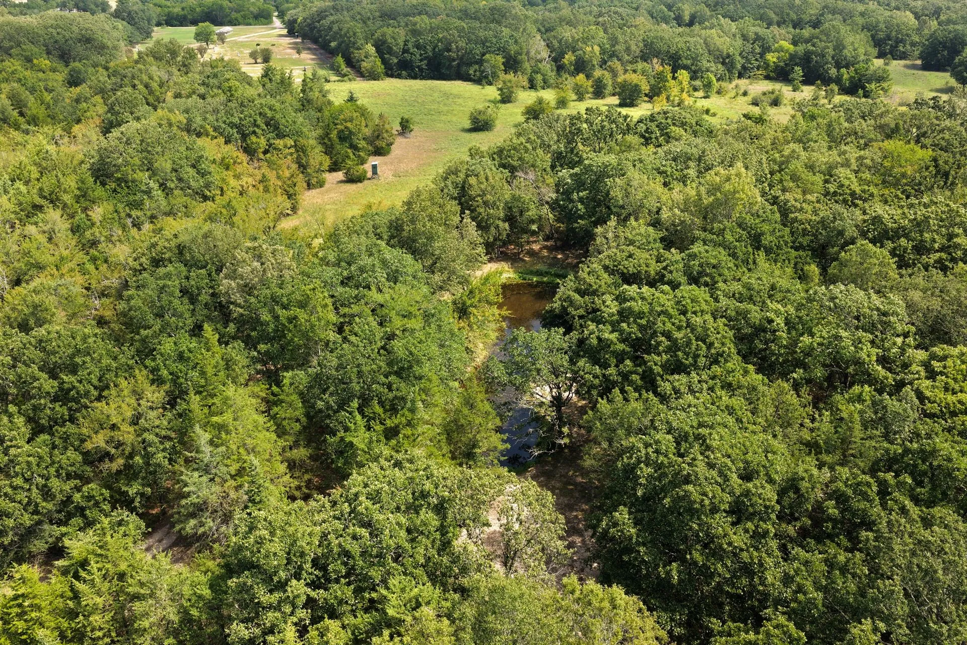 Farm For Sale in Franklin (TX) County , 141 NE CR 2021, Talco, Texas 75487, 2 Bedrooms, 1 Bathroom, Garage spaces, 2,000 Sqft, built in 2009, Price $489,000, mls#21351663, Real Estate Agent in Talco, Homes For Sale in Franklin (TX) county, Homes For Sale in Talco, Realtor in Talco Texas, Real Estate Brokerage Independent Realty Texas, Luminita Cordes Realtor