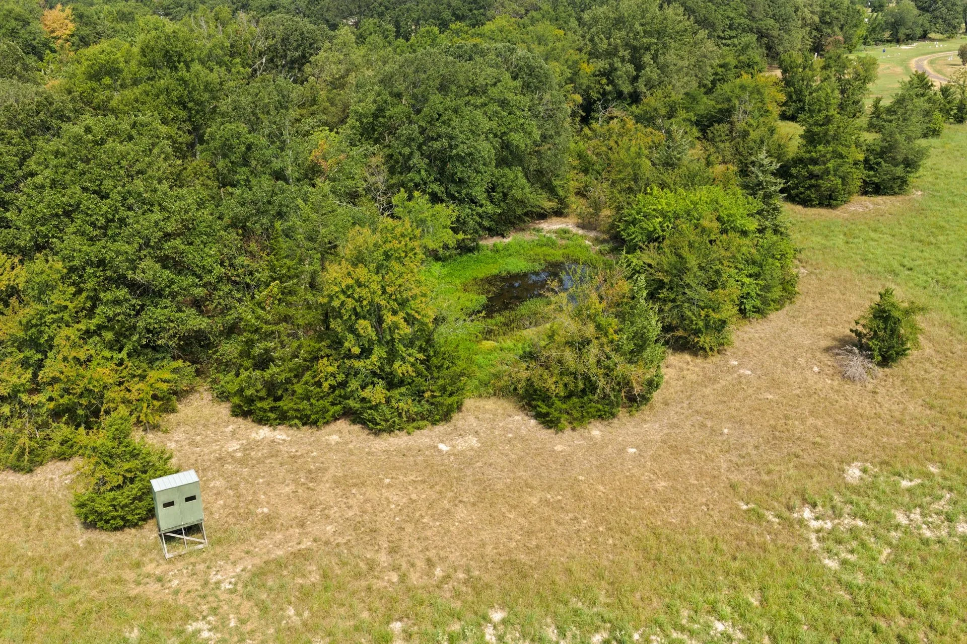 Farm For Sale in Franklin (TX) County , 141 NE CR 2021, Talco, Texas 75487, 2 Bedrooms, 1 Bathroom, Garage spaces, 2,000 Sqft, built in 2009, Price $489,000, mls#21351663, Real Estate Agent in Talco, Homes For Sale in Franklin (TX) county, Homes For Sale in Talco, Realtor in Talco Texas, Real Estate Brokerage Independent Realty Texas, Luminita Cordes Realtor