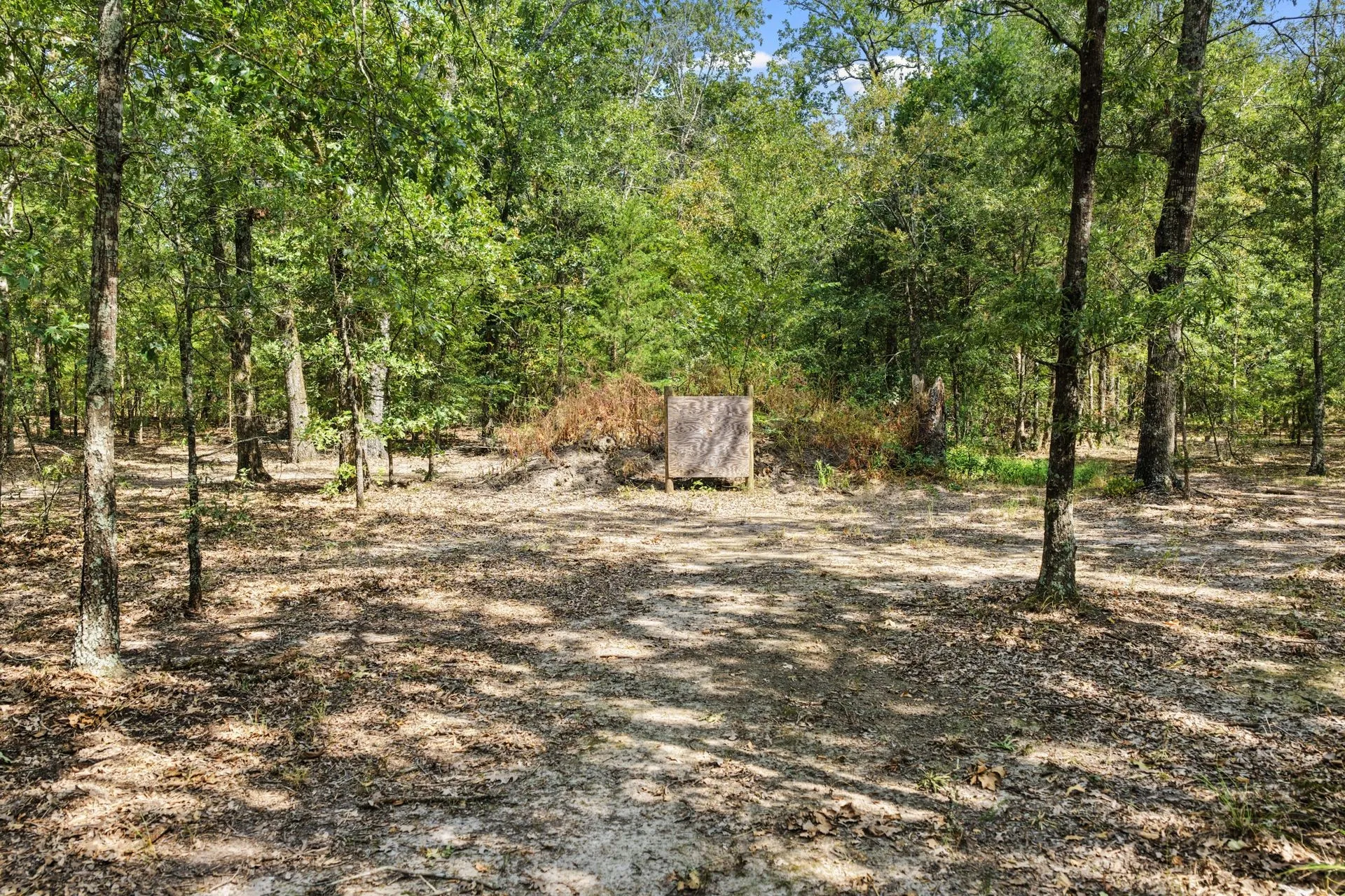 Farm For Sale in Franklin (TX) County , 141 NE CR 2021, Talco, Texas 75487, 2 Bedrooms, 1 Bathroom, Garage spaces, 2,000 Sqft, built in 2009, Price $489,000, mls#21351663, Real Estate Agent in Talco, Homes For Sale in Franklin (TX) county, Homes For Sale in Talco, Realtor in Talco Texas, Real Estate Brokerage Independent Realty Texas, Luminita Cordes Realtor