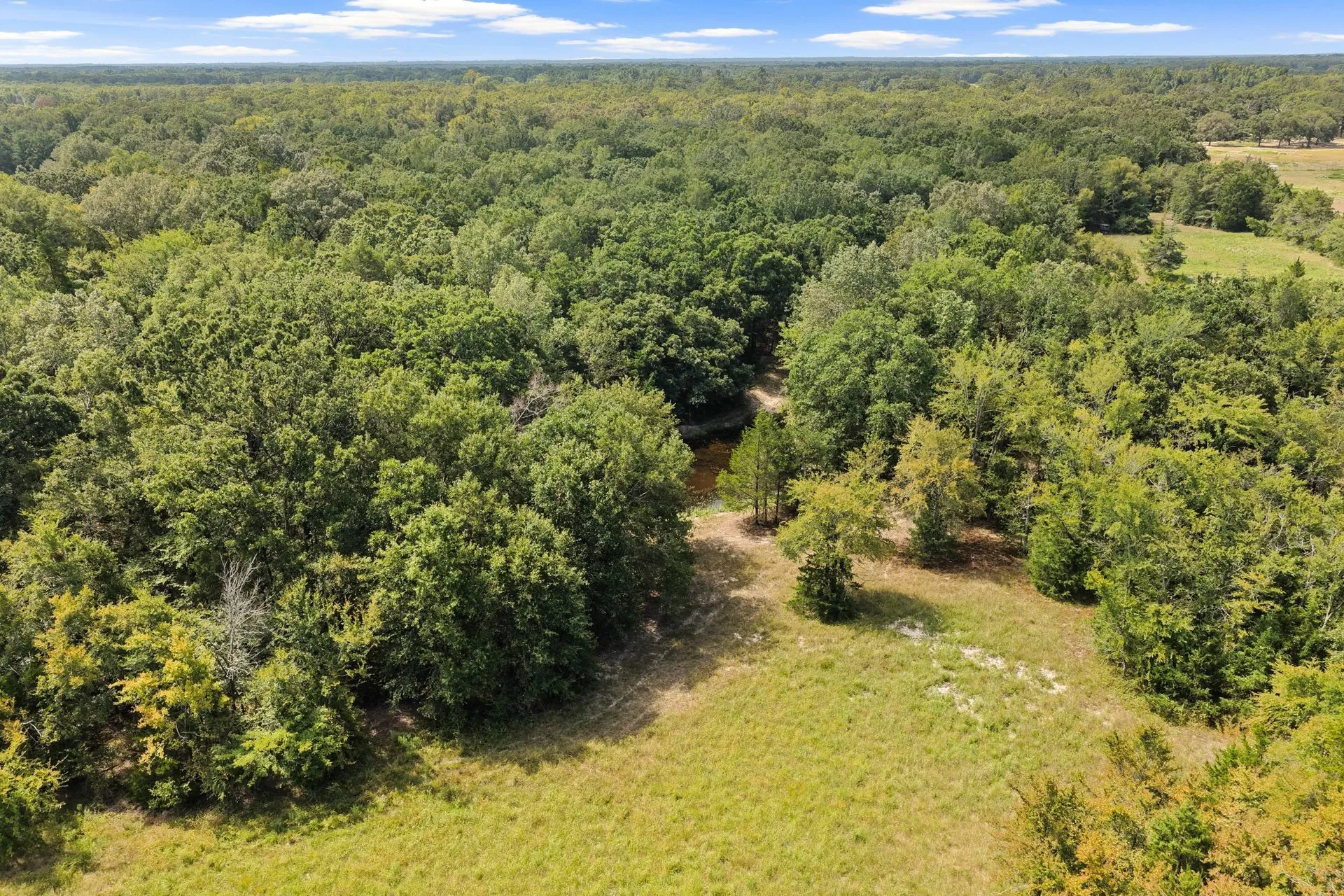 Farm For Sale in Franklin (TX) County , 141 NE CR 2021, Talco, Texas 75487, 2 Bedrooms, 1 Bathroom, Garage spaces, 2,000 Sqft, built in 2009, Price $489,000, mls#21351663, Real Estate Agent in Talco, Homes For Sale in Franklin (TX) county, Homes For Sale in Talco, Realtor in Talco Texas, Real Estate Brokerage Independent Realty Texas, Luminita Cordes Realtor
