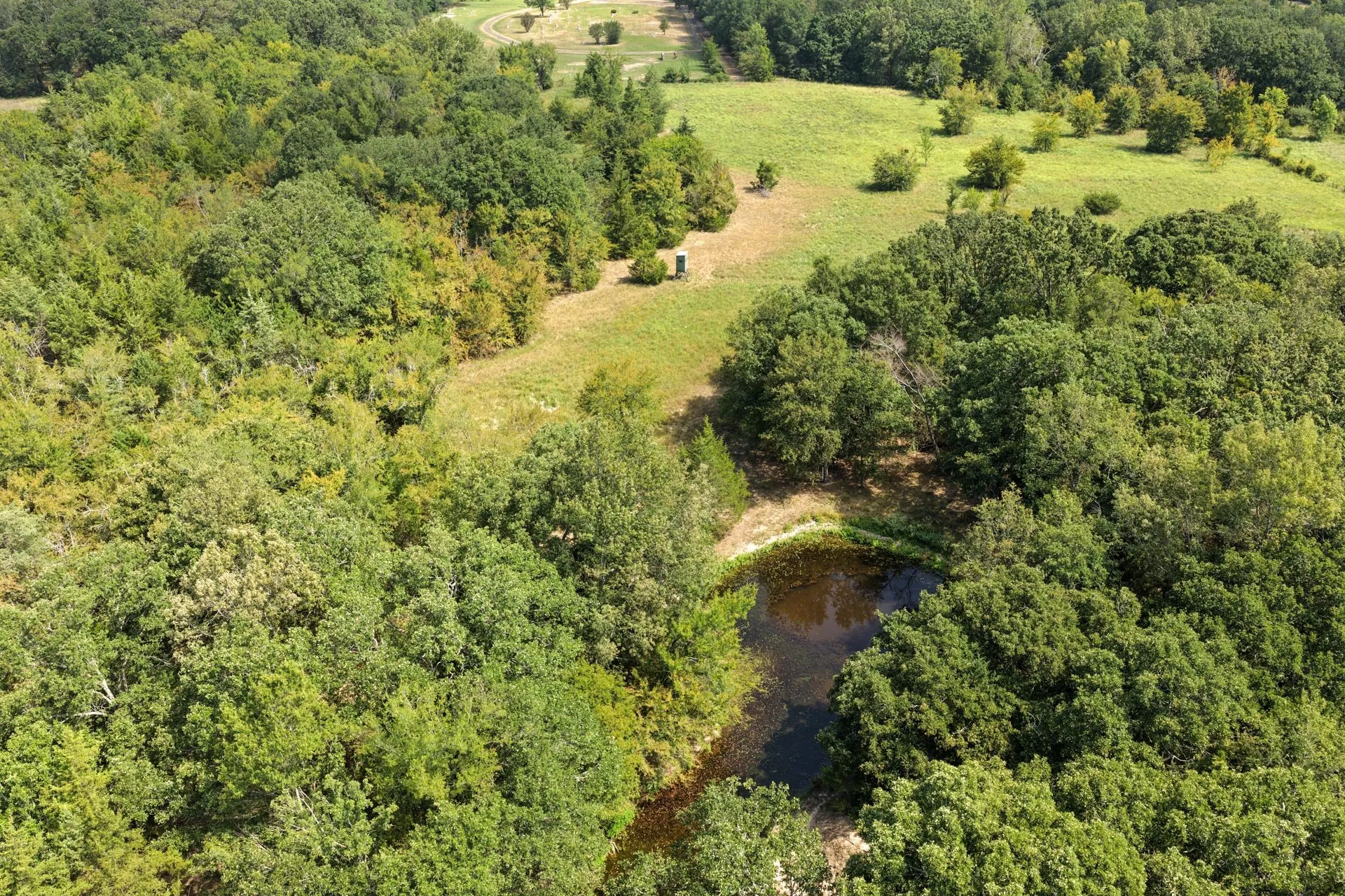 Farm For Sale in Franklin (TX) County , 141 NE CR 2021, Talco, Texas 75487, 2 Bedrooms, 1 Bathroom, Garage spaces, 2,000 Sqft, built in 2009, Price $489,000, mls#21351663, Real Estate Agent in Talco, Homes For Sale in Franklin (TX) county, Homes For Sale in Talco, Realtor in Talco Texas, Real Estate Brokerage Independent Realty Texas, Luminita Cordes Realtor