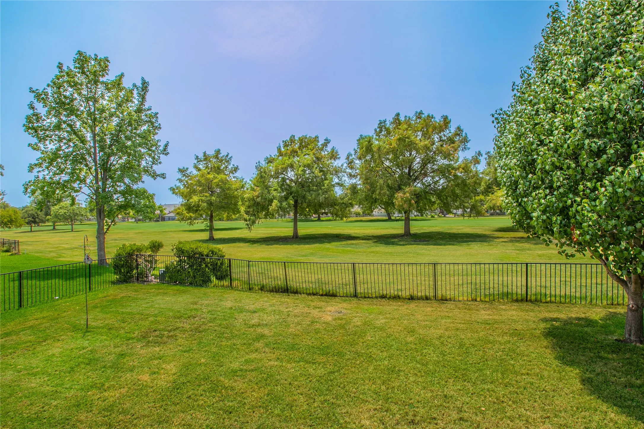 Expansive green lawn bordered by a black metal fence