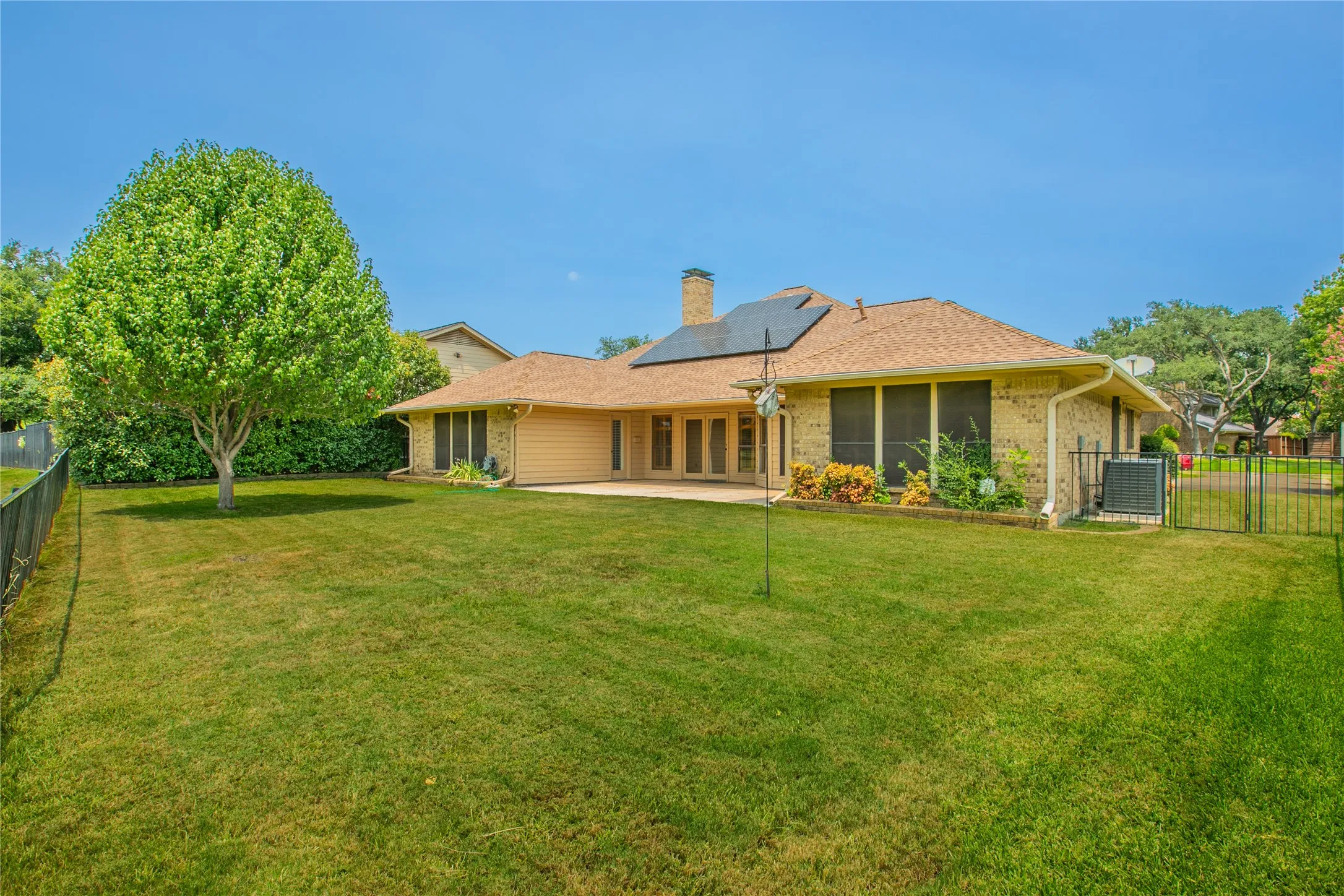 Expansive green lawn with a mature tree