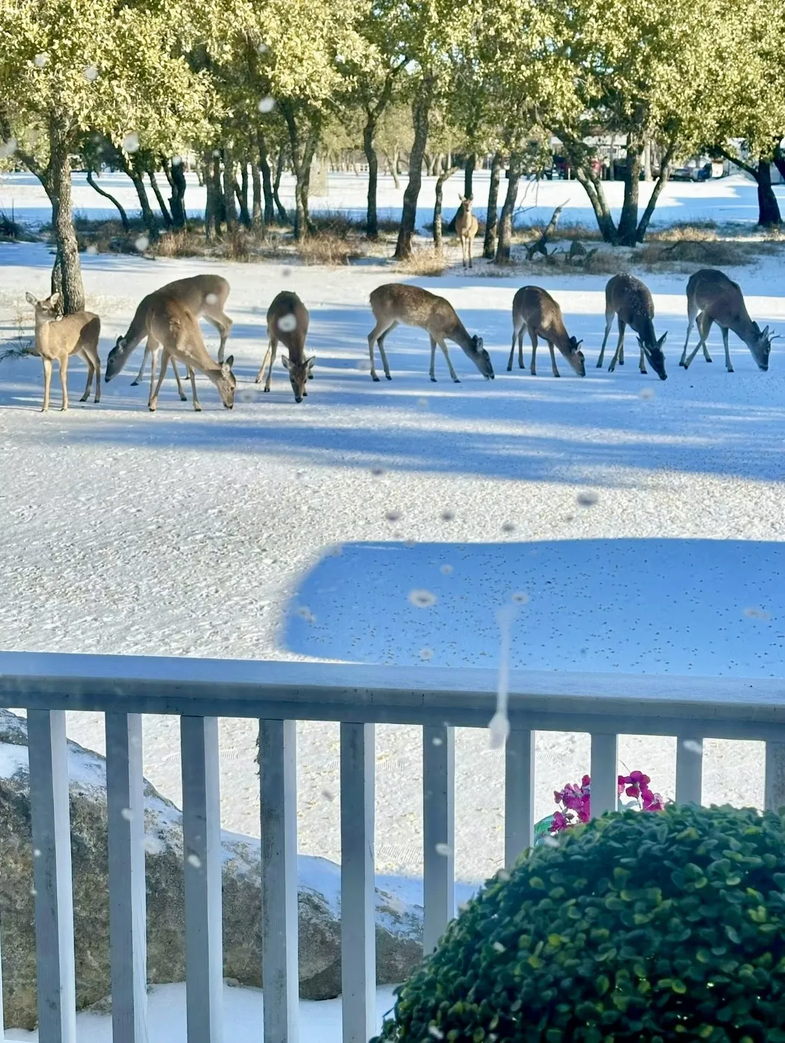 This lake retreat provides year-round joy.