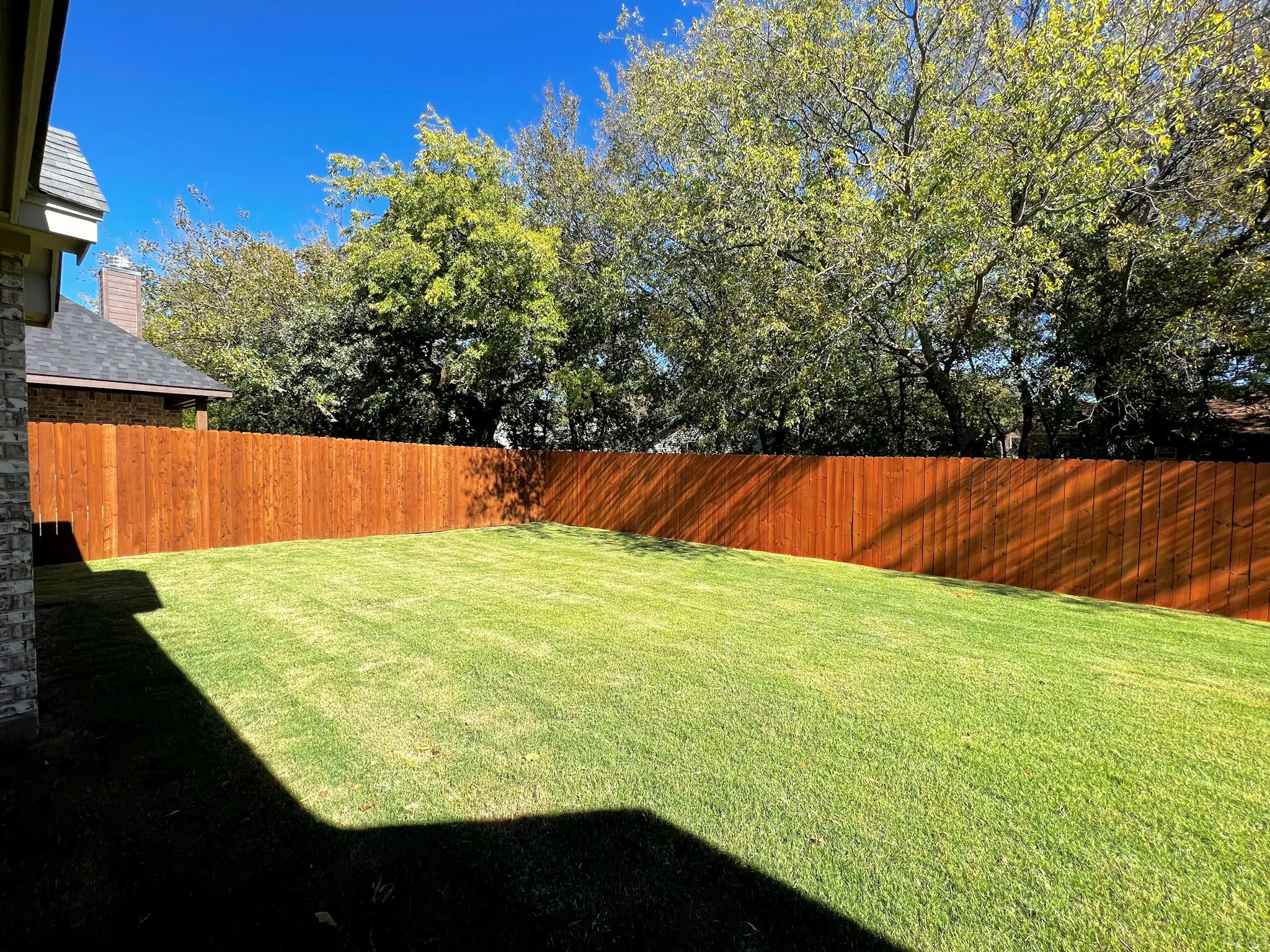 Fenced back yard