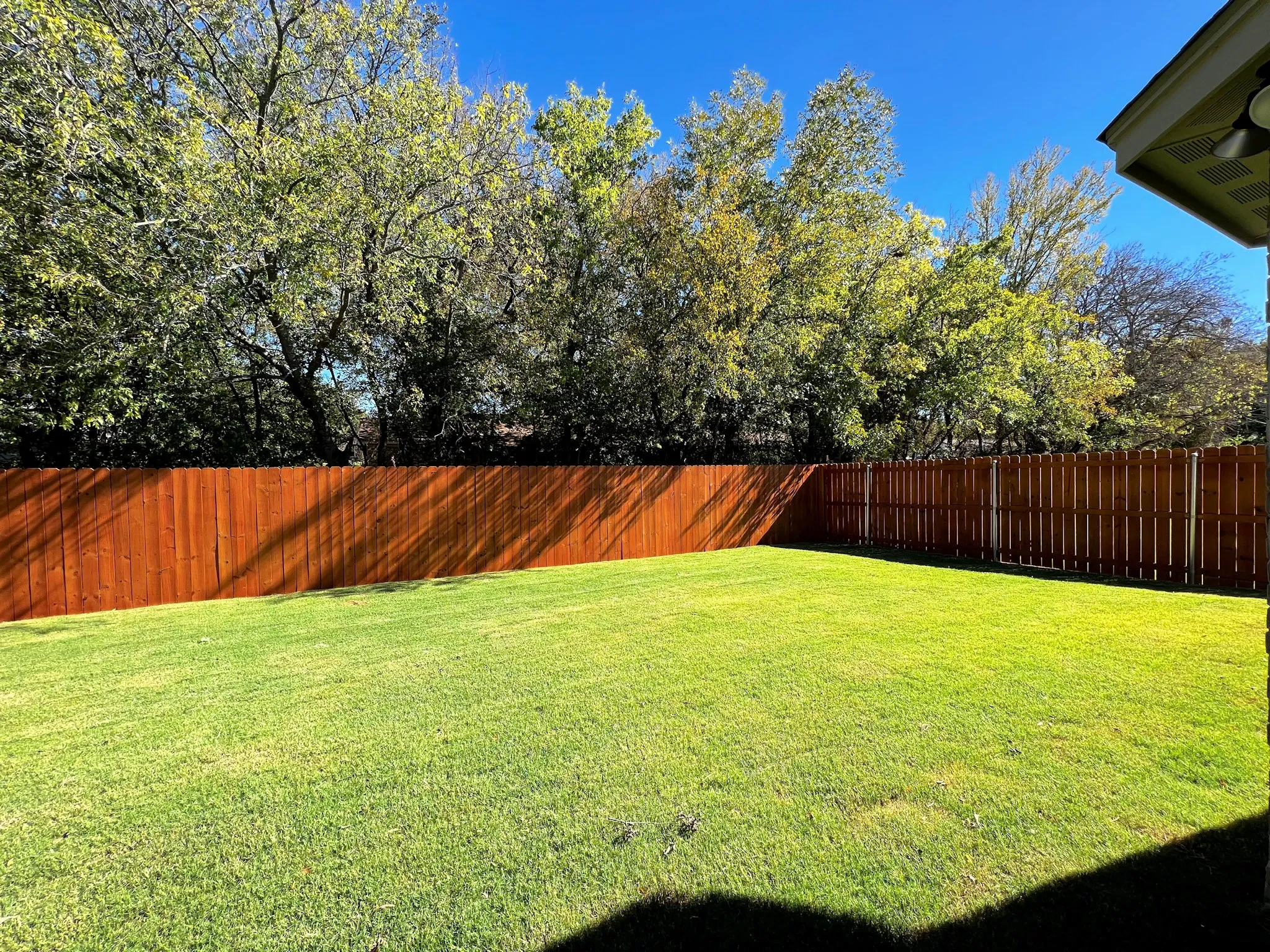 Fenced back yard