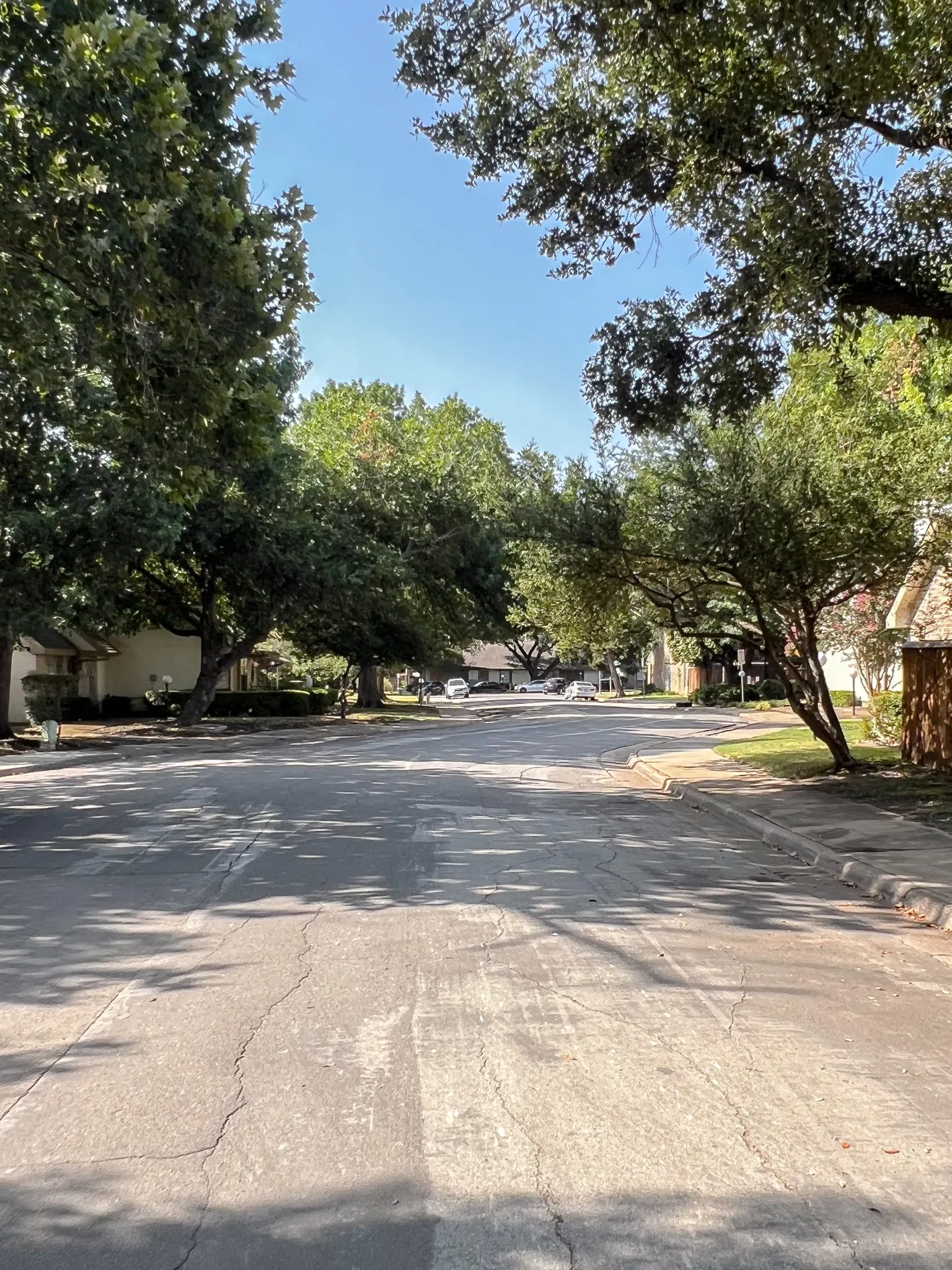 Tree lined streets