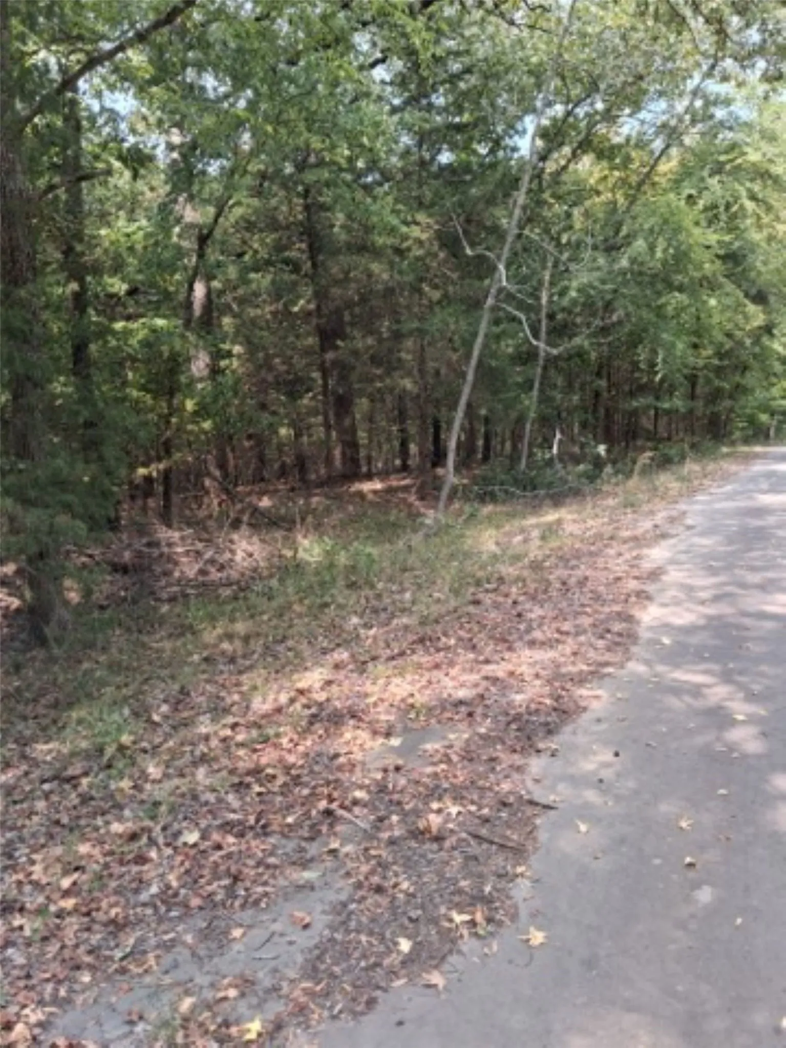 Road view of the lot