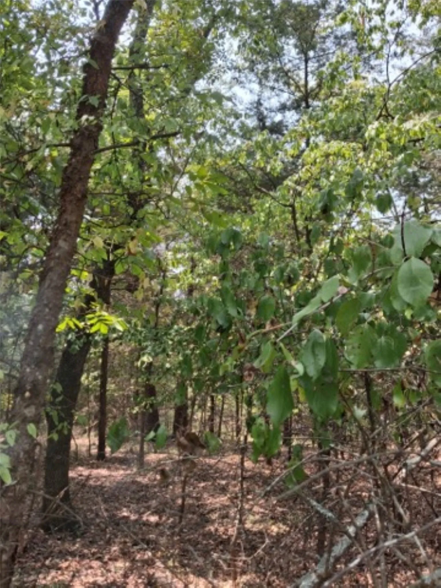 70x148 foot lot
