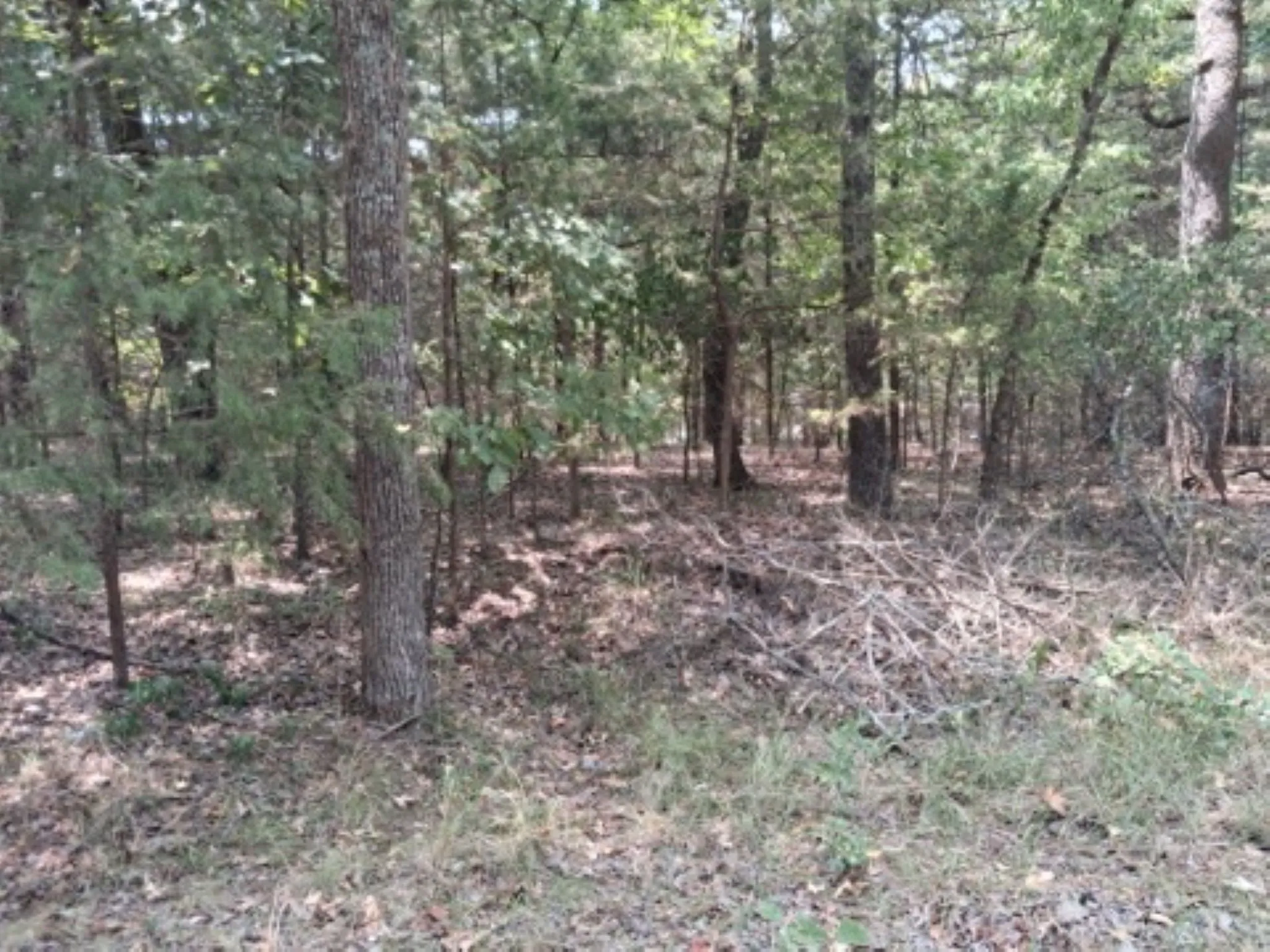 Unimproved Land For Sale in Van Zandt County , tbd Sundown, Murchison, Texas 75778, 0, 0, Garage spaces, 0 Sqft, built in 0, Price $12,000, mls#21351558, Real Estate Agent in Murchison, Homes For Sale in Van Zandt county, Homes For Sale in Murchison, Realtor in Murchison Texas, Real Estate Brokerage Independent Realty Texas, Luminita Cordes Realtor