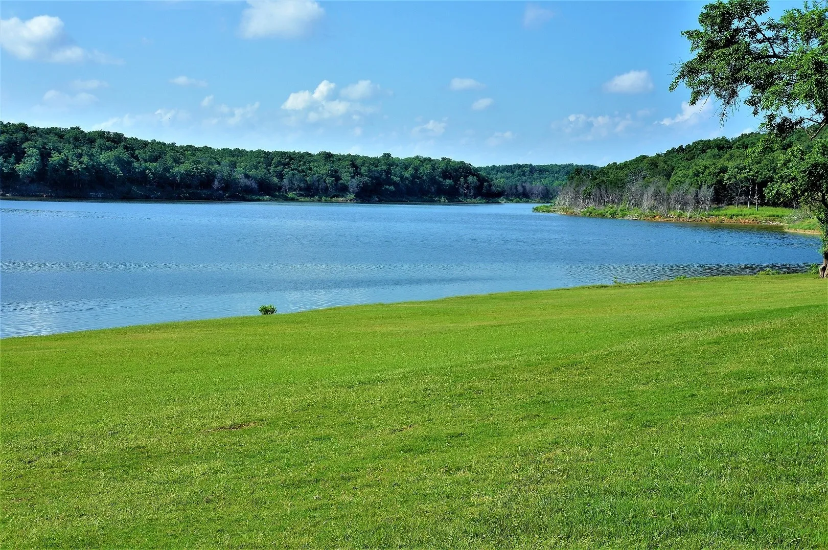 Unimproved Land For Sale in Grayson County , 432 Pasadera Circle, Gordonville, Texas 76245, 0, 0, Garage spaces, 0 Sqft, built in 0, Price $40,000, mls#21351826, Real Estate Agent in Gordonville, Homes For Sale in Grayson county, Homes For Sale in Gordonville, Realtor in Gordonville Texas, Real Estate Brokerage Independent Realty Texas, Luminita Cordes Realtor