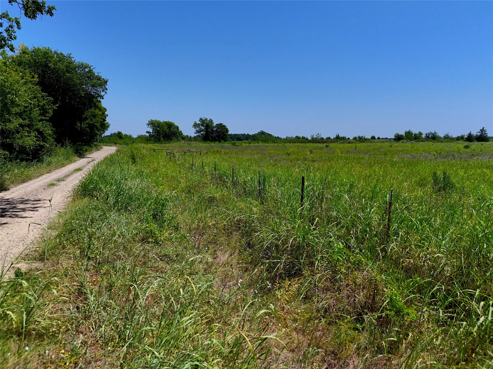 Unimproved Land For Sale in Lamar County , 0018 S Collegiate, Paris, Texas 75462, 0, 0, Garage spaces, 0 Sqft, built in 0, mls#21351862, Real Estate Agent in Paris, Homes For Sale in Lamar county, Homes For Sale in Paris, Realtor in Paris Texas, Real Estate Brokerage Independent Realty Texas, Luminita Cordes Realtor