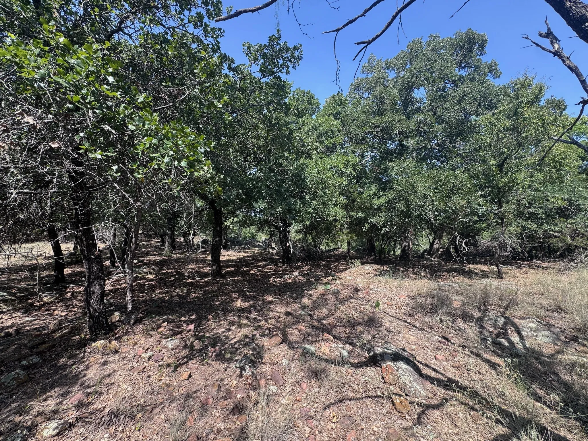 Unimproved Land For Sale in Palo Pinto County , B14 Glenhollow Drive, Gordon, Texas 76453, 0, 0, Garage spaces, 0 Sqft, built in 0, Price $169,900, mls#21347249, Real Estate Agent in Gordon, Homes For Sale in Palo Pinto county, Homes For Sale in Gordon, Realtor in Gordon Texas, Real Estate Brokerage Independent Realty Texas, Luminita Cordes Realtor
