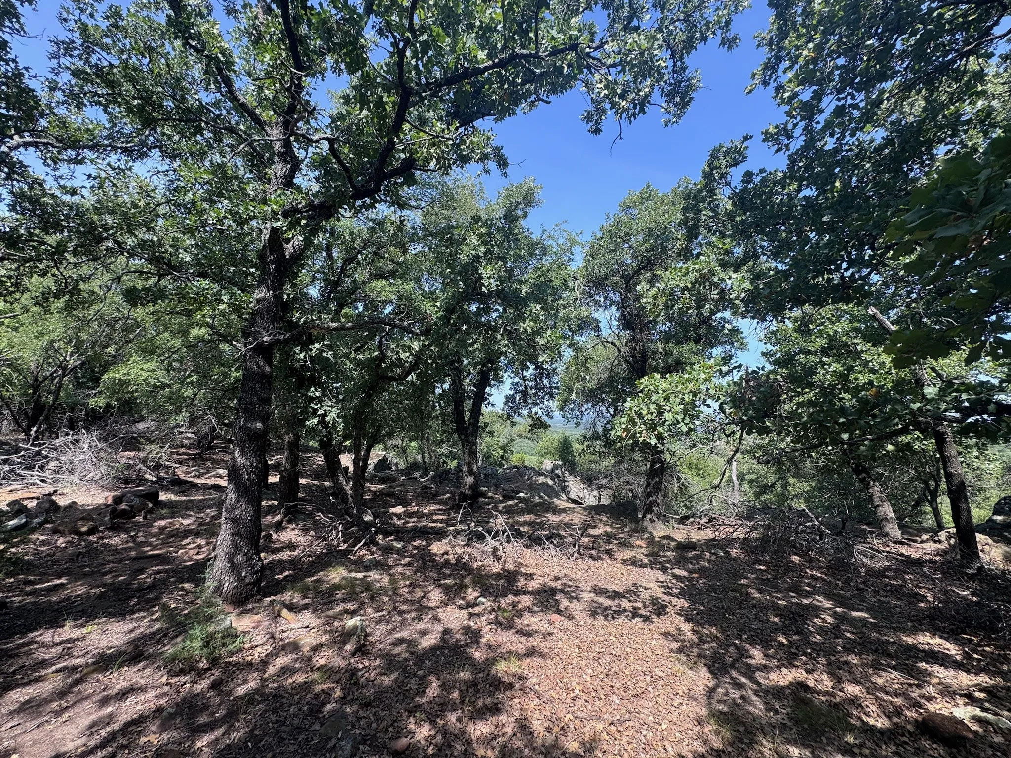 Unimproved Land For Sale in Palo Pinto County , B14 Glenhollow Drive, Gordon, Texas 76453, 0, 0, Garage spaces, 0 Sqft, built in 0, Price $169,900, mls#21347249, Real Estate Agent in Gordon, Homes For Sale in Palo Pinto county, Homes For Sale in Gordon, Realtor in Gordon Texas, Real Estate Brokerage Independent Realty Texas, Luminita Cordes Realtor