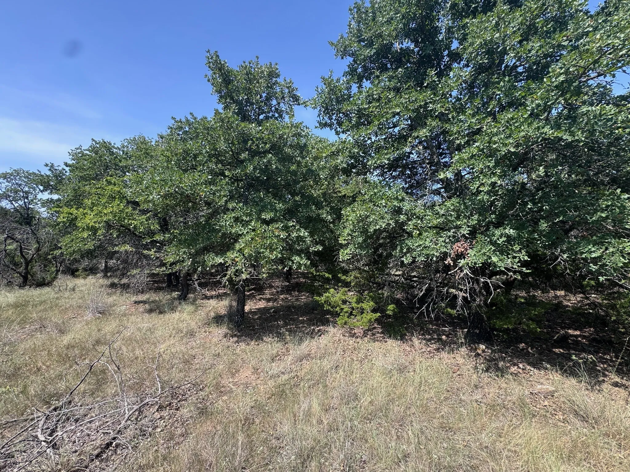 Unimproved Land For Sale in Palo Pinto County , B14 Glenhollow Drive, Gordon, Texas 76453, 0, 0, Garage spaces, 0 Sqft, built in 0, Price $169,900, mls#21347249, Real Estate Agent in Gordon, Homes For Sale in Palo Pinto county, Homes For Sale in Gordon, Realtor in Gordon Texas, Real Estate Brokerage Independent Realty Texas, Luminita Cordes Realtor