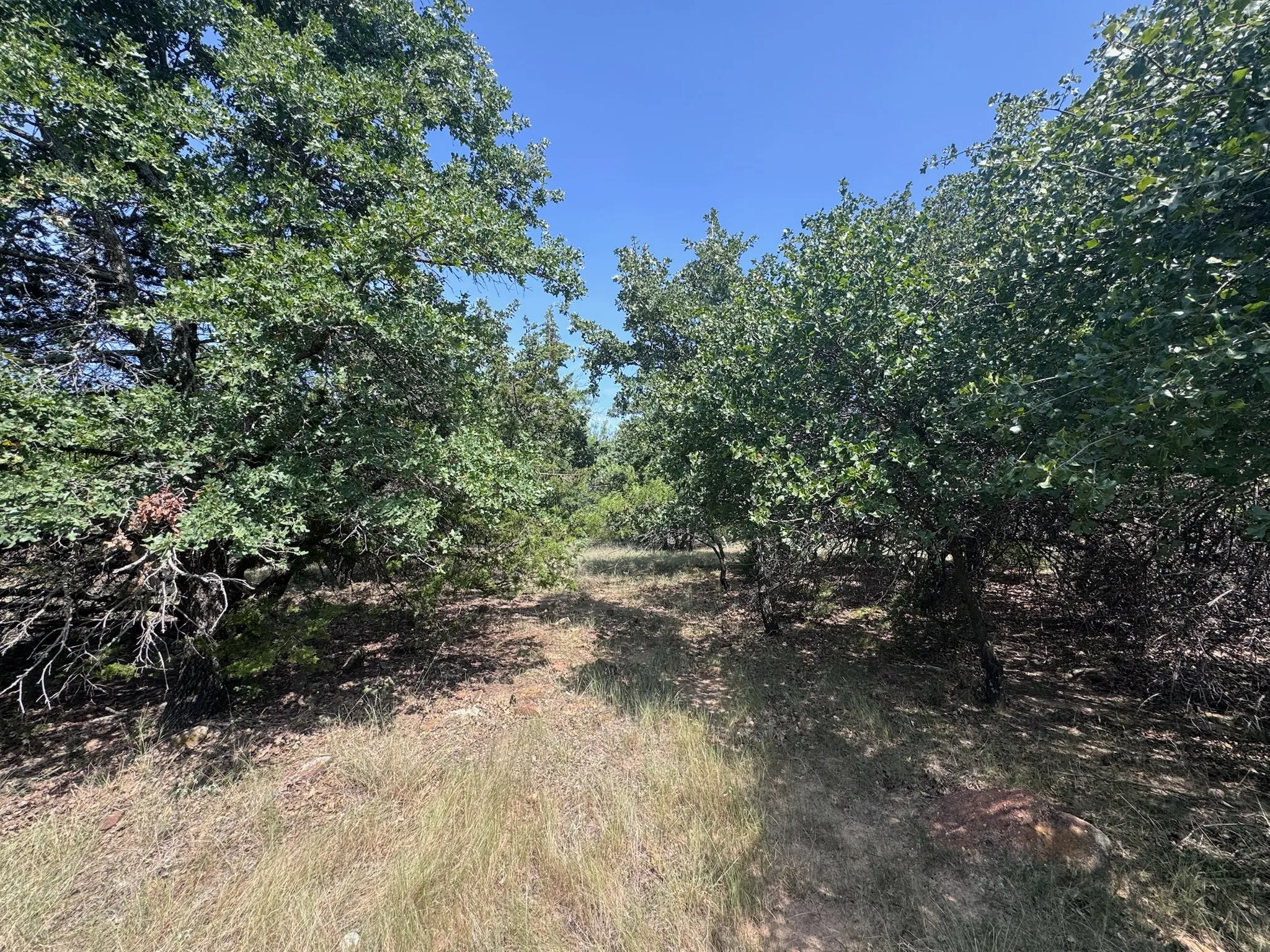 Unimproved Land For Sale in Palo Pinto County , B14 Glenhollow Drive, Gordon, Texas 76453, 0, 0, Garage spaces, 0 Sqft, built in 0, Price $169,900, mls#21347249, Real Estate Agent in Gordon, Homes For Sale in Palo Pinto county, Homes For Sale in Gordon, Realtor in Gordon Texas, Real Estate Brokerage Independent Realty Texas, Luminita Cordes Realtor