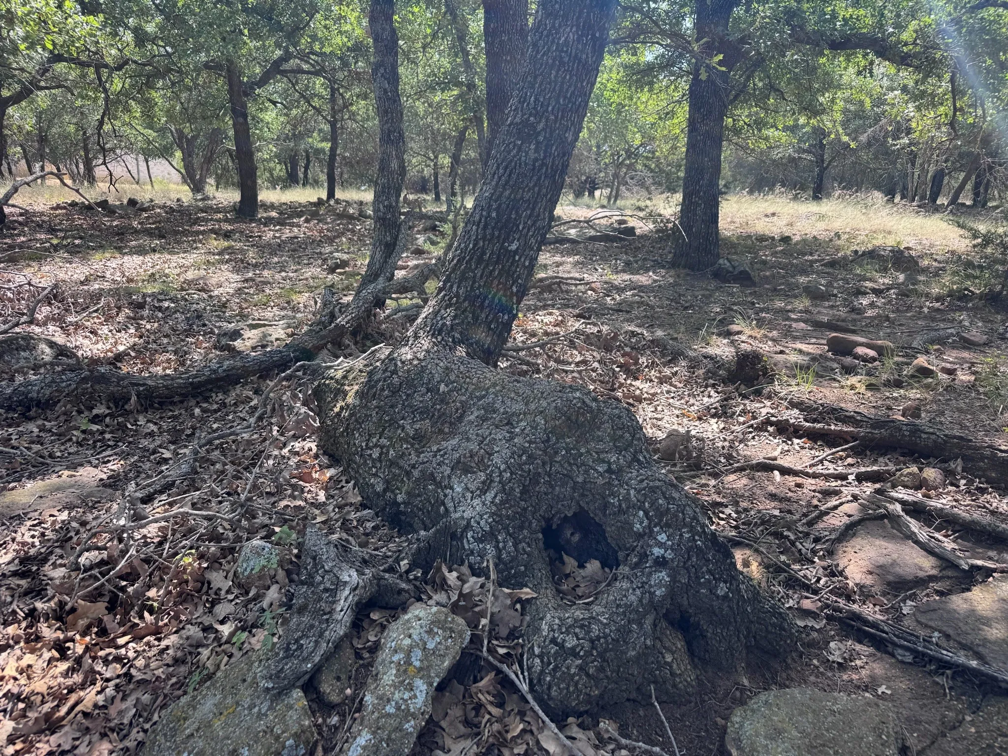 Unimproved Land For Sale in Palo Pinto County , B14 Glenhollow Drive, Gordon, Texas 76453, 0, 0, Garage spaces, 0 Sqft, built in 0, Price $169,900, mls#21347249, Real Estate Agent in Gordon, Homes For Sale in Palo Pinto county, Homes For Sale in Gordon, Realtor in Gordon Texas, Real Estate Brokerage Independent Realty Texas, Luminita Cordes Realtor