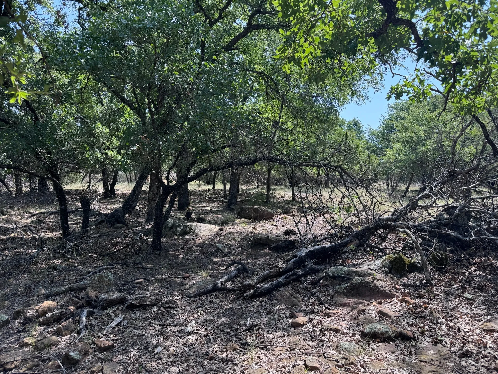 Unimproved Land For Sale in Palo Pinto County , B14 Glenhollow Drive, Gordon, Texas 76453, 0, 0, Garage spaces, 0 Sqft, built in 0, Price $169,900, mls#21347249, Real Estate Agent in Gordon, Homes For Sale in Palo Pinto county, Homes For Sale in Gordon, Realtor in Gordon Texas, Real Estate Brokerage Independent Realty Texas, Luminita Cordes Realtor