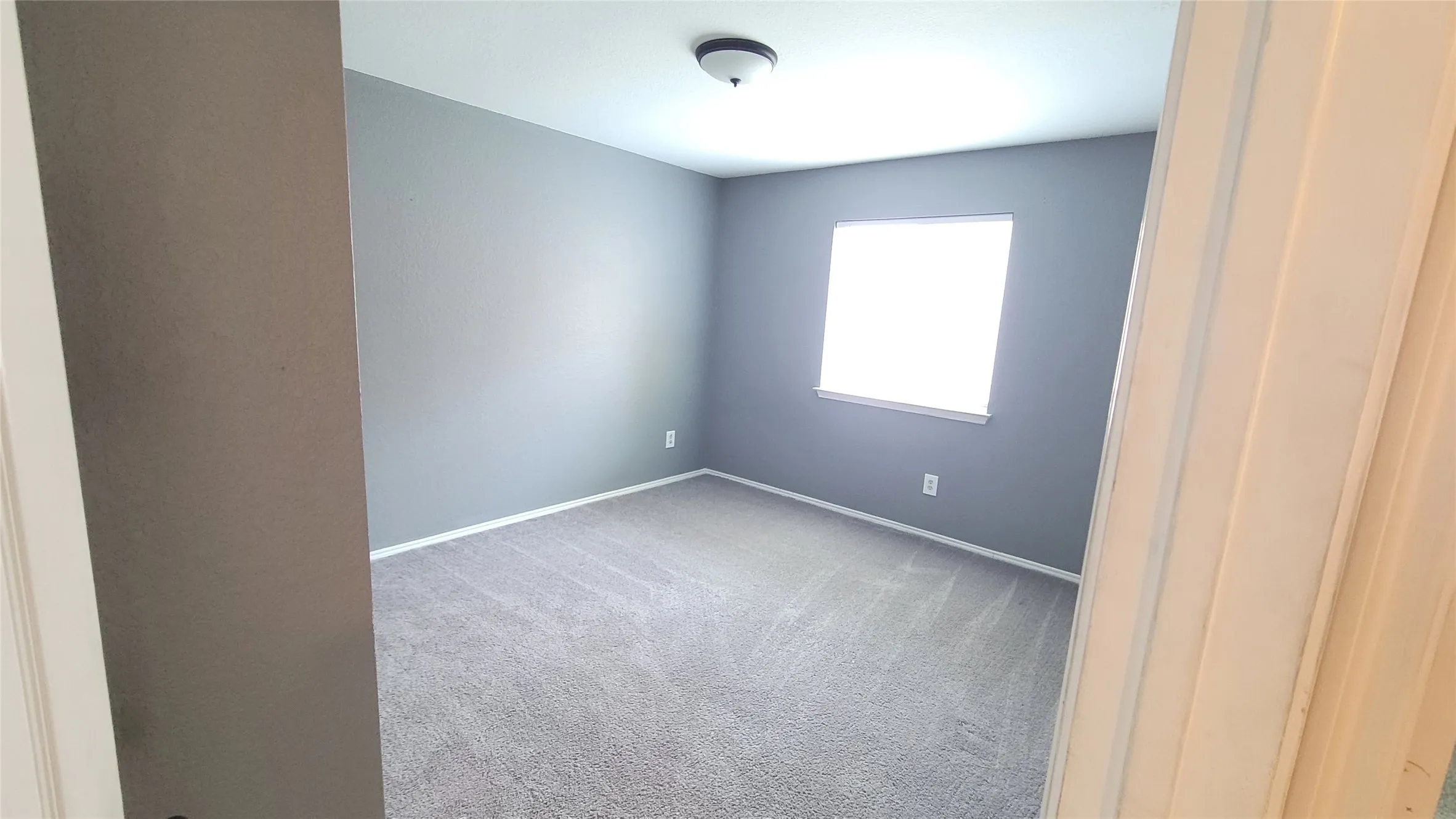 Neutral gray walls with white trim, gray carpeting, a single window, and a flush mount ceiling light