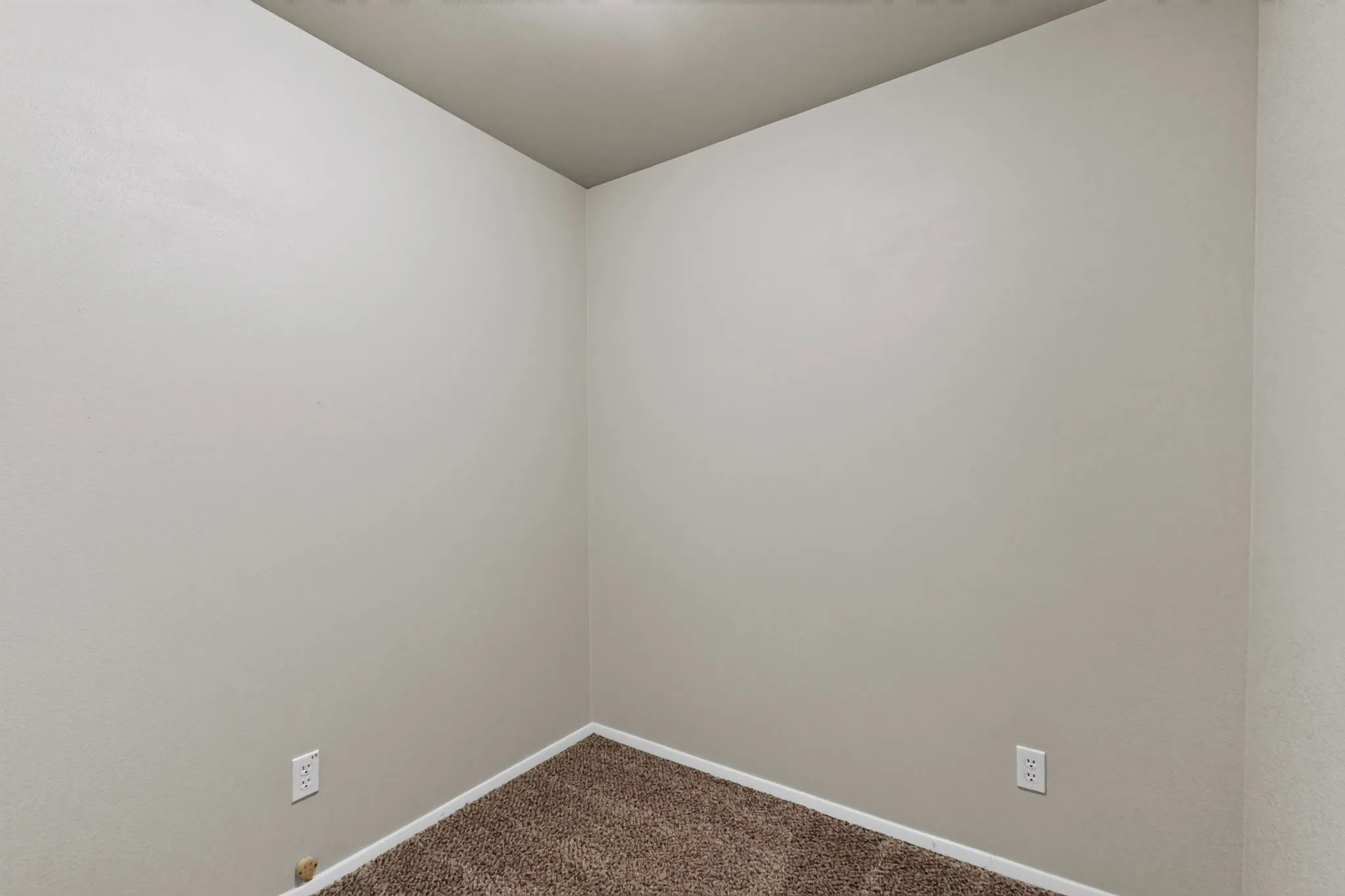 Neutral-toned walls with textured finish, plush brown carpeting, and white baseboards