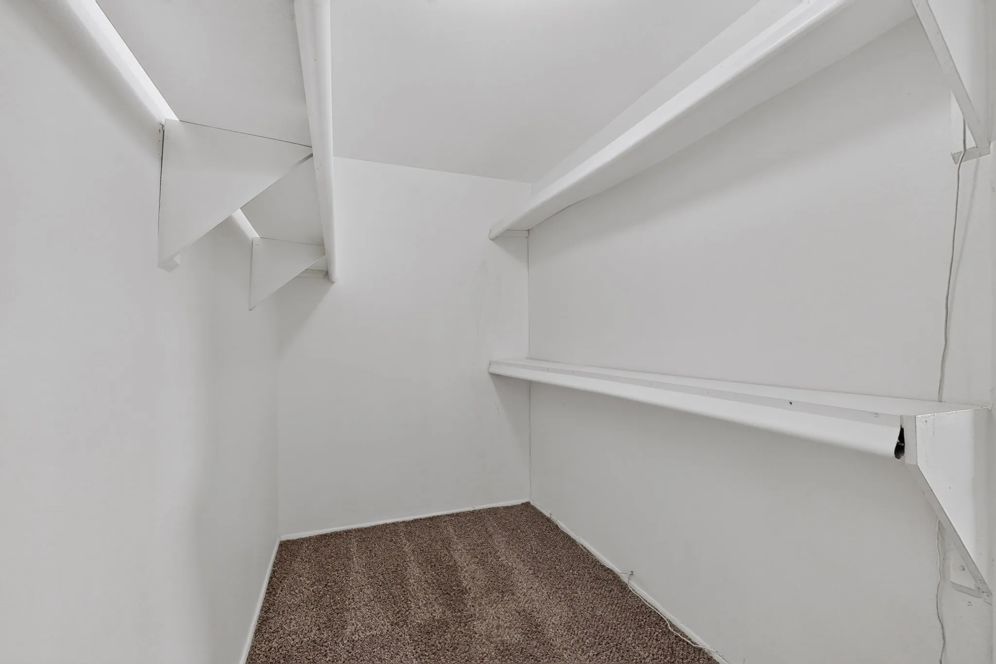 Closet interior featuring a carpeted floor, white walls, and built-in shelving