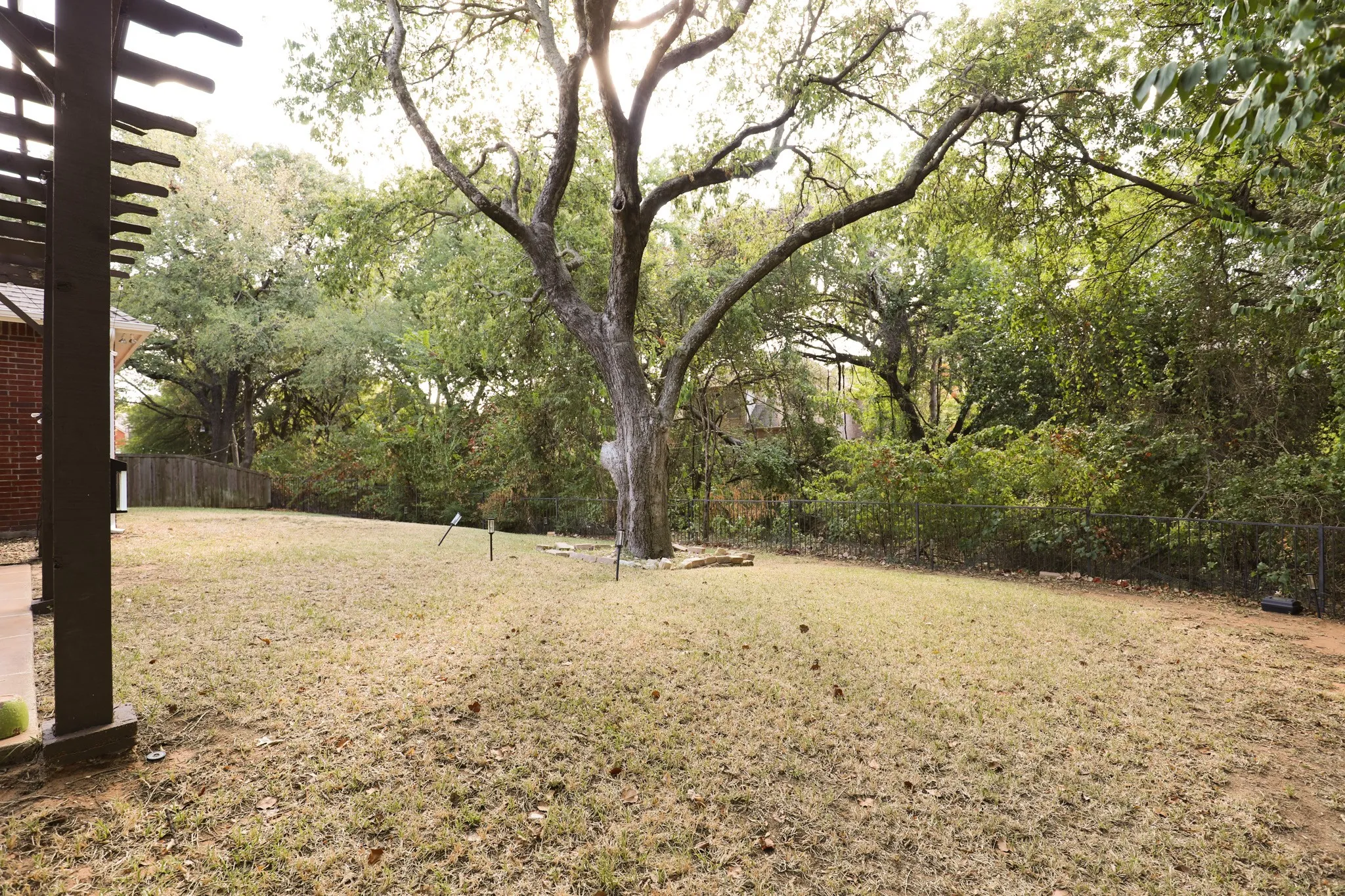 Spacious backyard featuring a large tree, perimeter fencing, and a dark-stained wood pergola