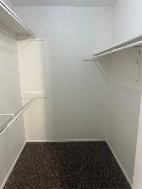 Primary walk-in closet