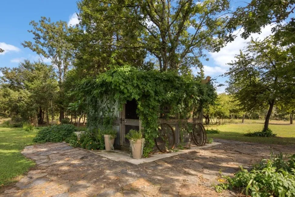 Passion Flower Covered Chicken Coop