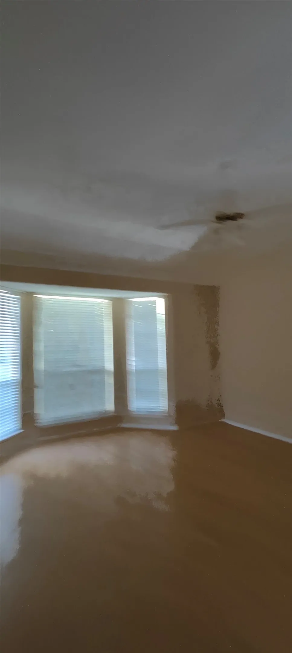 Single Family Residence For Rent in Collin County , 6800 Burr Oak Drive, Plano, Texas 75023, 4 Bedroom, 3 Bathroom, 2 Garage spaces, 2,470 Sqft, built in 1994, mls#21352088, Real Estate Agent in Plano, Homes For Rent in Collin county, Homes For Rent in Plano, Realtor in Plano Texas, Real Estate Brokerage Independent Realty Texas, Luminita Cordes Realtor