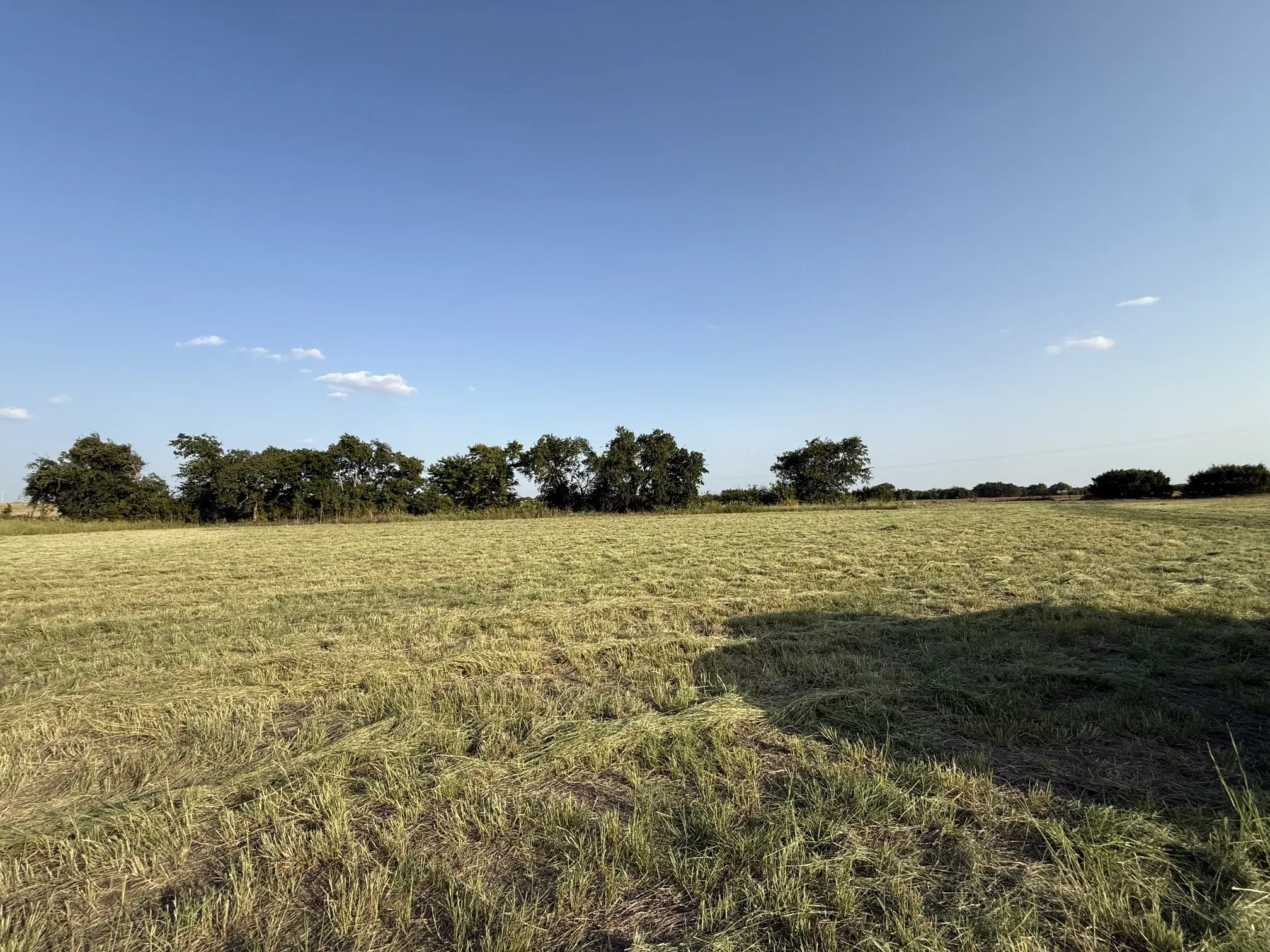 Improved Land For Sale in Coryell County , 3101 Fm-217, Valley Mills, Texas 76689, 0, 0, Garage spaces, 0 Sqft, built in 2026, mls#21348316, Real Estate Agent in Valley Mills, Homes For Sale in Coryell county, Homes For Sale in Valley Mills, Realtor in Valley Mills Texas, Real Estate Brokerage Independent Realty Texas, Luminita Cordes Realtor