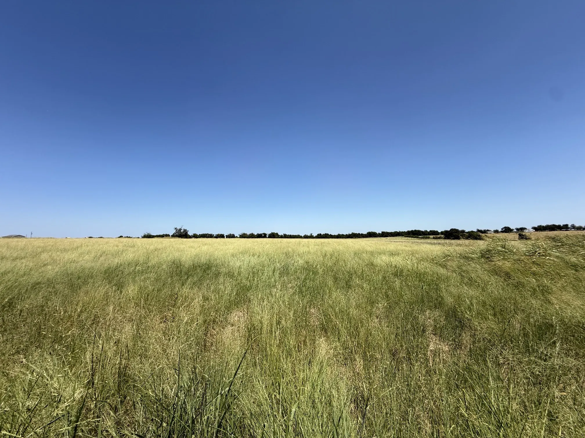 Improved Land For Sale in Coryell County , 3101 Fm-217, Valley Mills, Texas 76689, 0, 0, Garage spaces, 0 Sqft, built in 2026, mls#21348316, Real Estate Agent in Valley Mills, Homes For Sale in Coryell county, Homes For Sale in Valley Mills, Realtor in Valley Mills Texas, Real Estate Brokerage Independent Realty Texas, Luminita Cordes Realtor