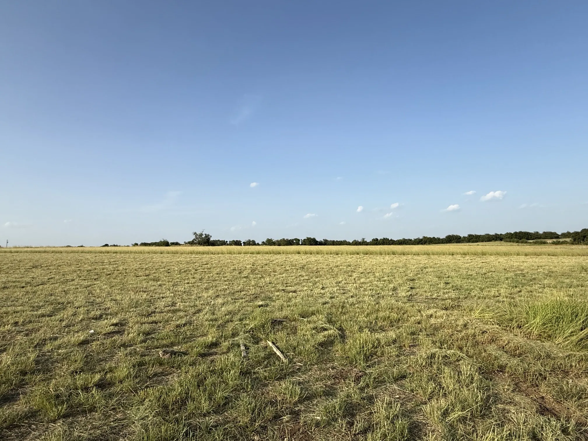 Improved Land For Sale in Coryell County , 3101 Fm-217, Valley Mills, Texas 76689, 0, 0, Garage spaces, 0 Sqft, built in 2026, mls#21348316, Real Estate Agent in Valley Mills, Homes For Sale in Coryell county, Homes For Sale in Valley Mills, Realtor in Valley Mills Texas, Real Estate Brokerage Independent Realty Texas, Luminita Cordes Realtor