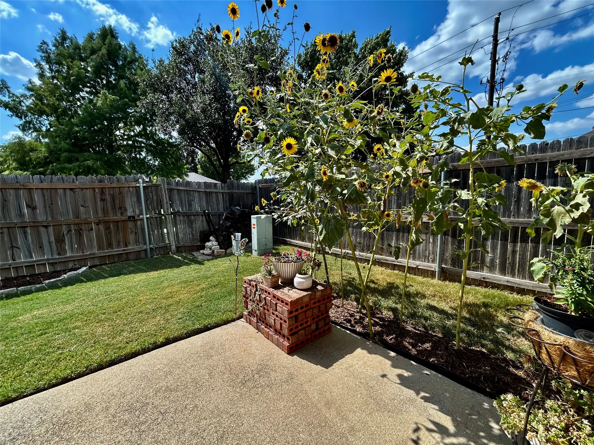 Single Family Residence For Sale in Tarrant County , 8853 STIRRUP Way, Fort Worth, Texas 76244, 4 Bedroom, 2 Bathroom, 2 Garage spaces, 2,005 Sqft, built in 2004, mls#21350965, Real Estate Agent in Fort Worth, Homes For Sale in Tarrant county, Homes For Sale in Fort Worth, Realtor in Fort Worth Texas, Real Estate Brokerage Independent Realty Texas, Luminita Cordes Realtor