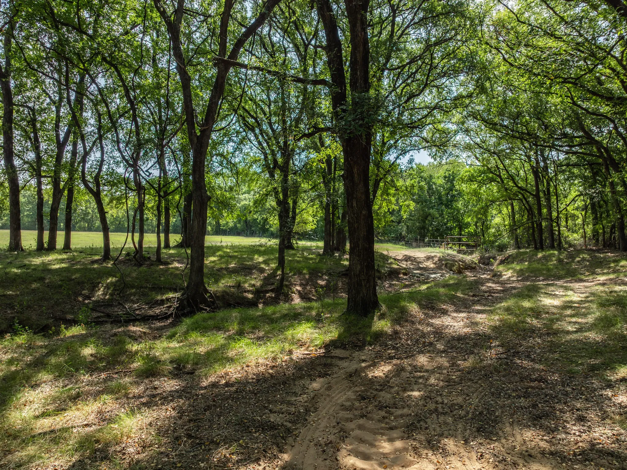 Unimproved Land For Sale in Hill County , TBD HCR 1314, Whitney, Texas 76692, 0, 0, Garage spaces, 0 Sqft, built in 0, mls#21351837, Real Estate Agent in Whitney, Homes For Sale in Hill county, Homes For Sale in Whitney, Realtor in Whitney Texas, Real Estate Brokerage Independent Realty Texas, Luminita Cordes Realtor