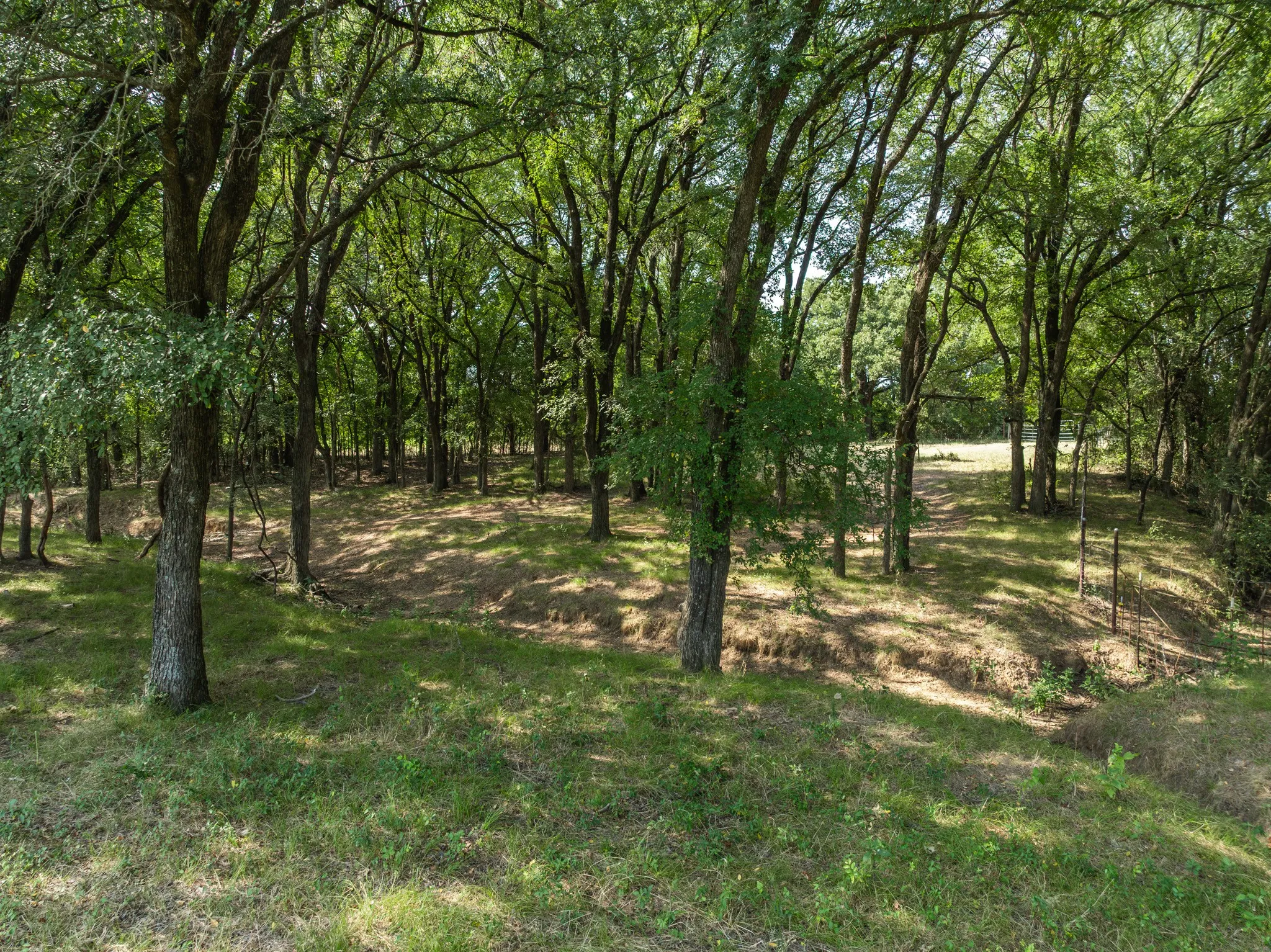 Unimproved Land For Sale in Hill County , TBD HCR 1314, Whitney, Texas 76692, 0, 0, Garage spaces, 0 Sqft, built in 0, mls#21351837, Real Estate Agent in Whitney, Homes For Sale in Hill county, Homes For Sale in Whitney, Realtor in Whitney Texas, Real Estate Brokerage Independent Realty Texas, Luminita Cordes Realtor