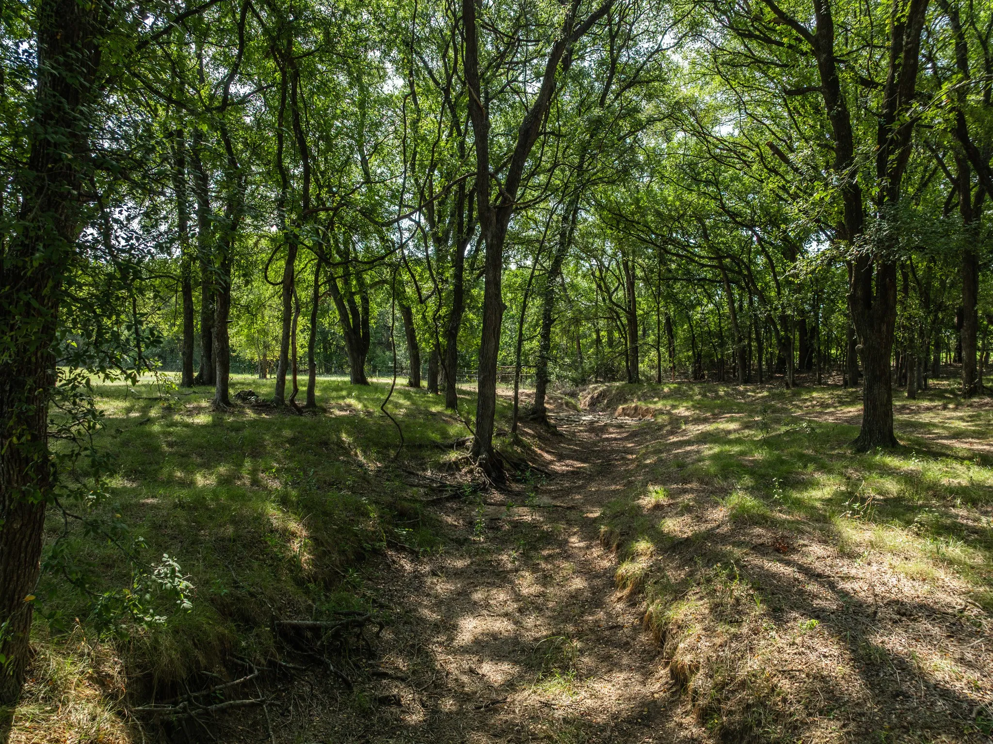 Unimproved Land For Sale in Hill County , TBD HCR 1314, Whitney, Texas 76692, 0, 0, Garage spaces, 0 Sqft, built in 0, mls#21351837, Real Estate Agent in Whitney, Homes For Sale in Hill county, Homes For Sale in Whitney, Realtor in Whitney Texas, Real Estate Brokerage Independent Realty Texas, Luminita Cordes Realtor