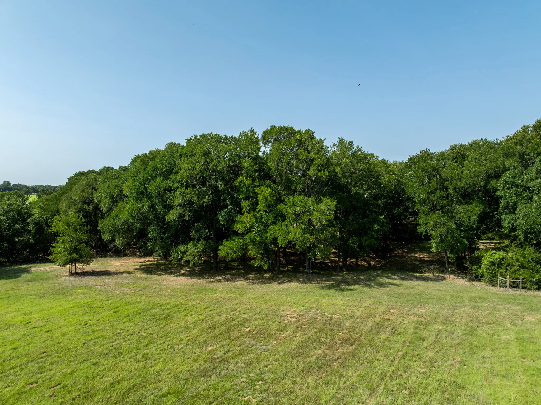 Unimproved Land For Sale in Hill County , TBD HCR 1314, Whitney, Texas 76692, 0, 0, Garage spaces, 0 Sqft, built in 0, mls#21351837, Real Estate Agent in Whitney, Homes For Sale in Hill county, Homes For Sale in Whitney, Realtor in Whitney Texas, Real Estate Brokerage Independent Realty Texas, Luminita Cordes Realtor
