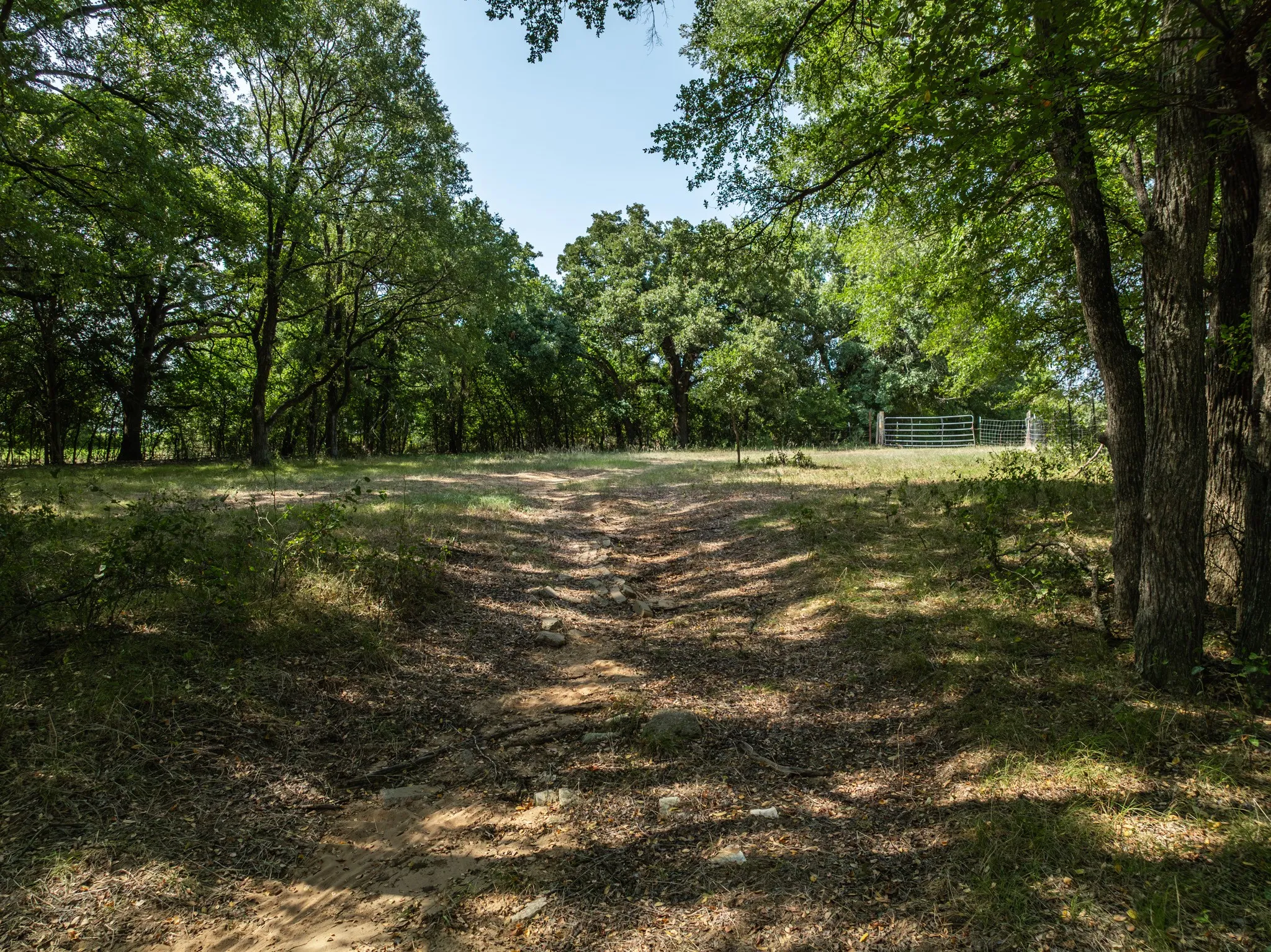 Unimproved Land For Sale in Hill County , TBD HCR 1314, Whitney, Texas 76692, 0, 0, Garage spaces, 0 Sqft, built in 0, mls#21351837, Real Estate Agent in Whitney, Homes For Sale in Hill county, Homes For Sale in Whitney, Realtor in Whitney Texas, Real Estate Brokerage Independent Realty Texas, Luminita Cordes Realtor