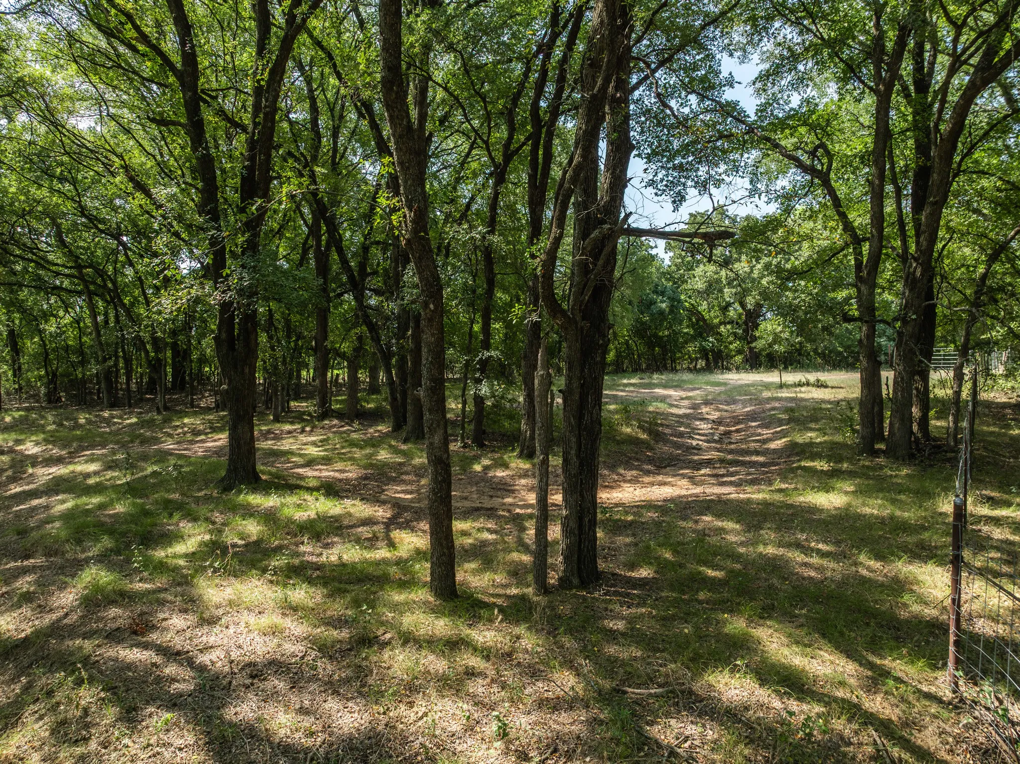 Unimproved Land For Sale in Hill County , TBD HCR 1314, Whitney, Texas 76692, 0, 0, Garage spaces, 0 Sqft, built in 0, mls#21351837, Real Estate Agent in Whitney, Homes For Sale in Hill county, Homes For Sale in Whitney, Realtor in Whitney Texas, Real Estate Brokerage Independent Realty Texas, Luminita Cordes Realtor