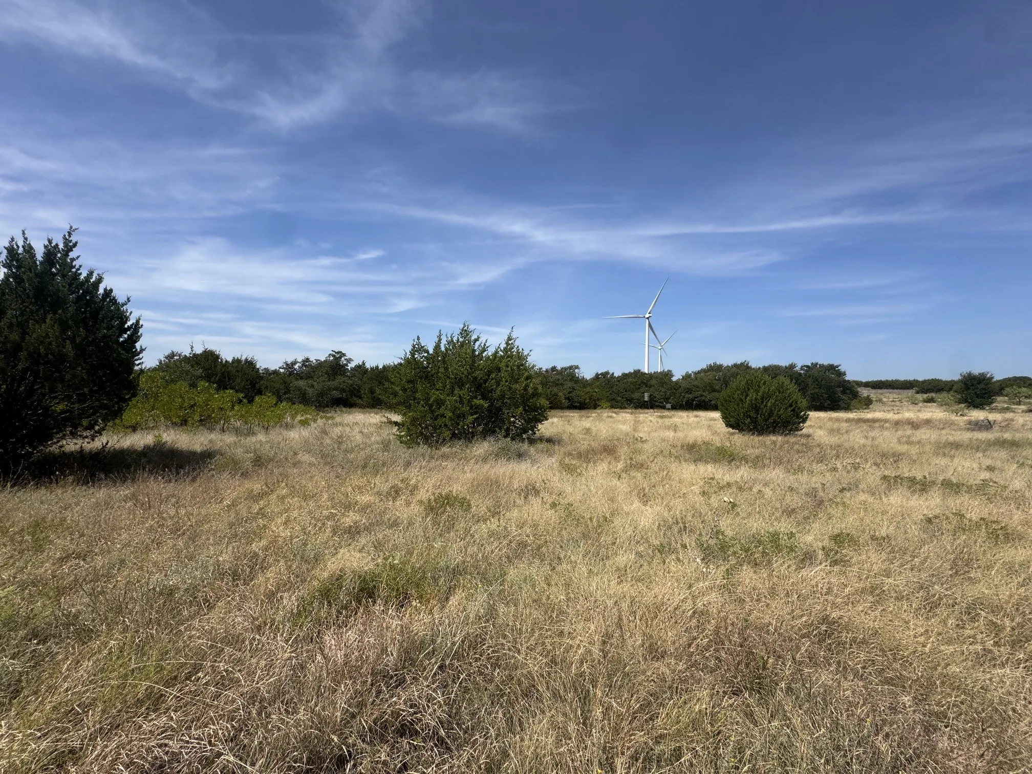 Unimproved Land For Sale in Eastland County , TBD Georgia Pass, Desdemona, Texas 76445, 0, 0, Garage spaces, 0 Sqft, built in 0, mls#21352126, Real Estate Agent in Desdemona, Homes For Sale in Eastland county, Homes For Sale in Desdemona, Realtor in Desdemona Texas, Real Estate Brokerage Independent Realty Texas, Luminita Cordes Realtor