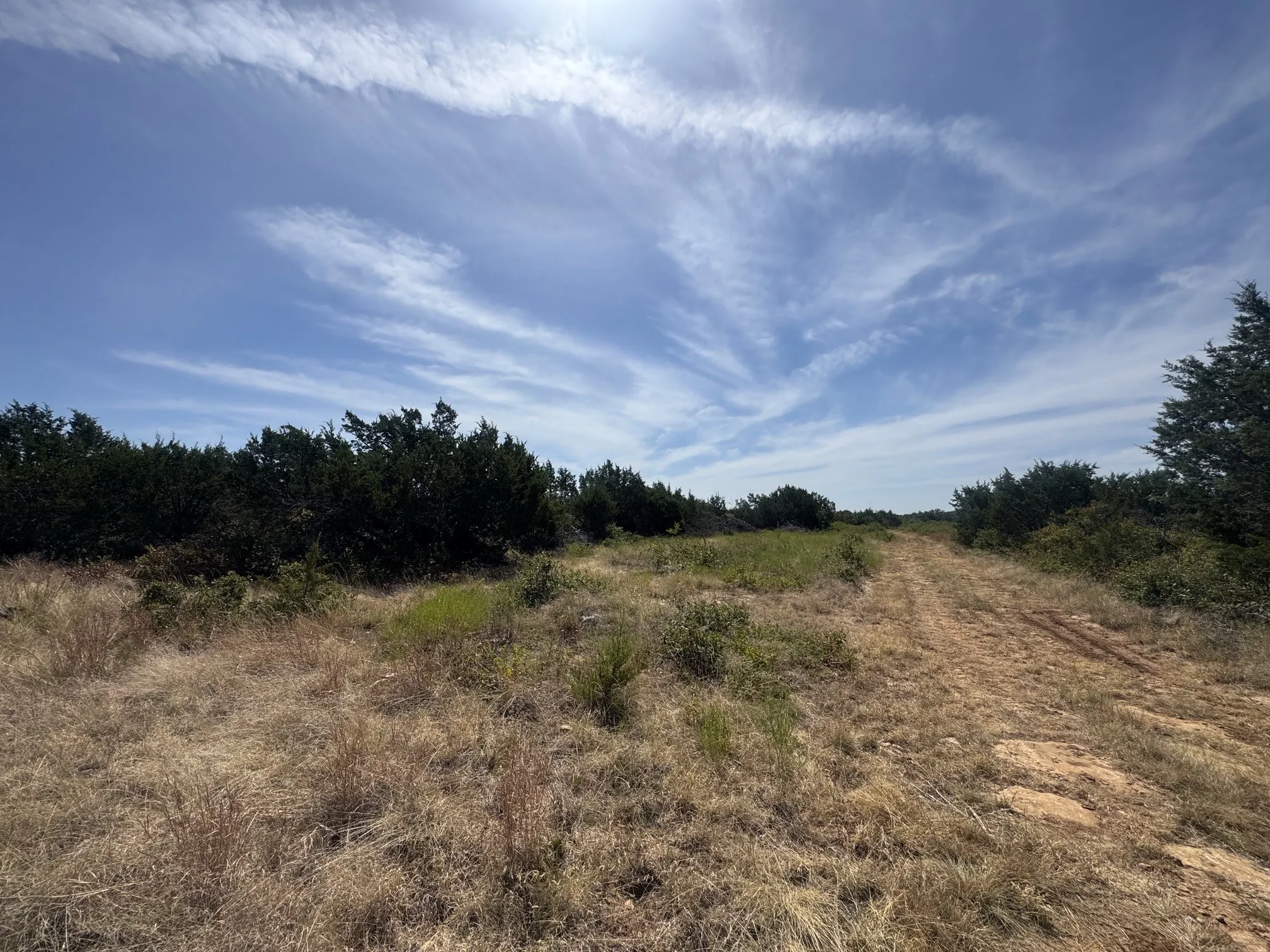 Unimproved Land For Sale in Eastland County , TBD Georgia Pass, Desdemona, Texas 76445, 0, 0, Garage spaces, 0 Sqft, built in 0, mls#21352126, Real Estate Agent in Desdemona, Homes For Sale in Eastland county, Homes For Sale in Desdemona, Realtor in Desdemona Texas, Real Estate Brokerage Independent Realty Texas, Luminita Cordes Realtor