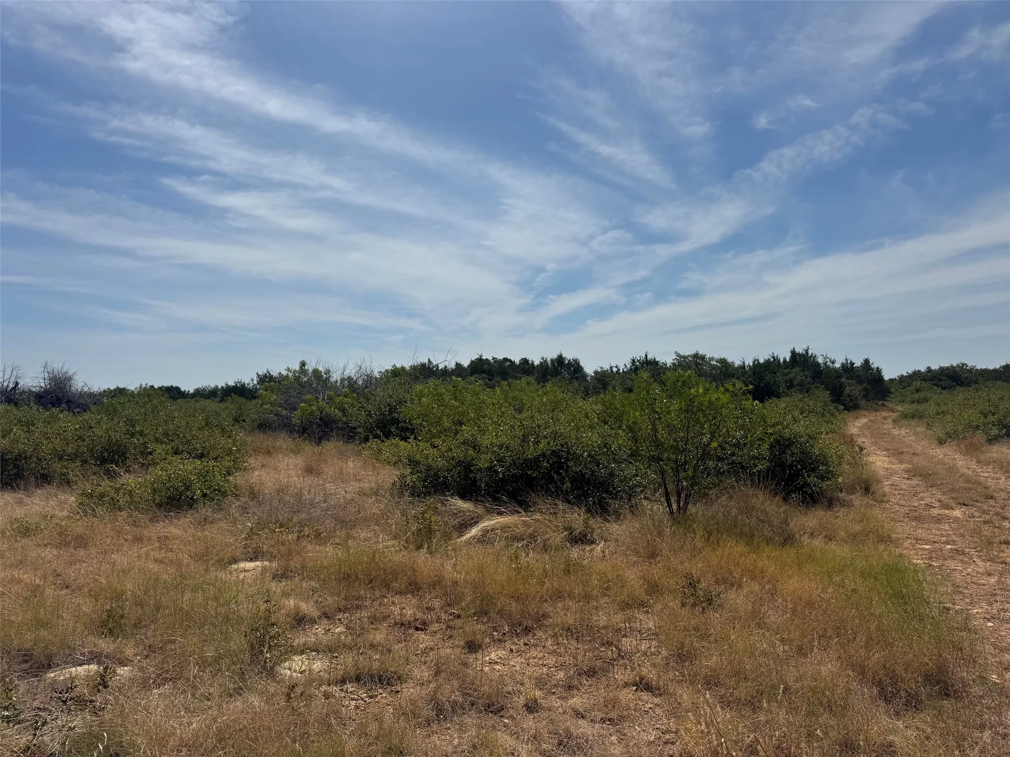 Unimproved Land For Sale in Eastland County , TBD Georgia Pass, Desdemona, Texas 76445, 0, 0, Garage spaces, 0 Sqft, built in 0, mls#21352126, Real Estate Agent in Desdemona, Homes For Sale in Eastland county, Homes For Sale in Desdemona, Realtor in Desdemona Texas, Real Estate Brokerage Independent Realty Texas, Luminita Cordes Realtor