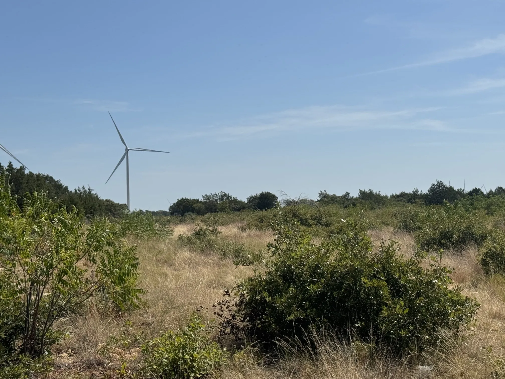 Unimproved Land For Sale in Eastland County , TBD Georgia Pass, Desdemona, Texas 76445, 0, 0, Garage spaces, 0 Sqft, built in 0, mls#21352126, Real Estate Agent in Desdemona, Homes For Sale in Eastland county, Homes For Sale in Desdemona, Realtor in Desdemona Texas, Real Estate Brokerage Independent Realty Texas, Luminita Cordes Realtor